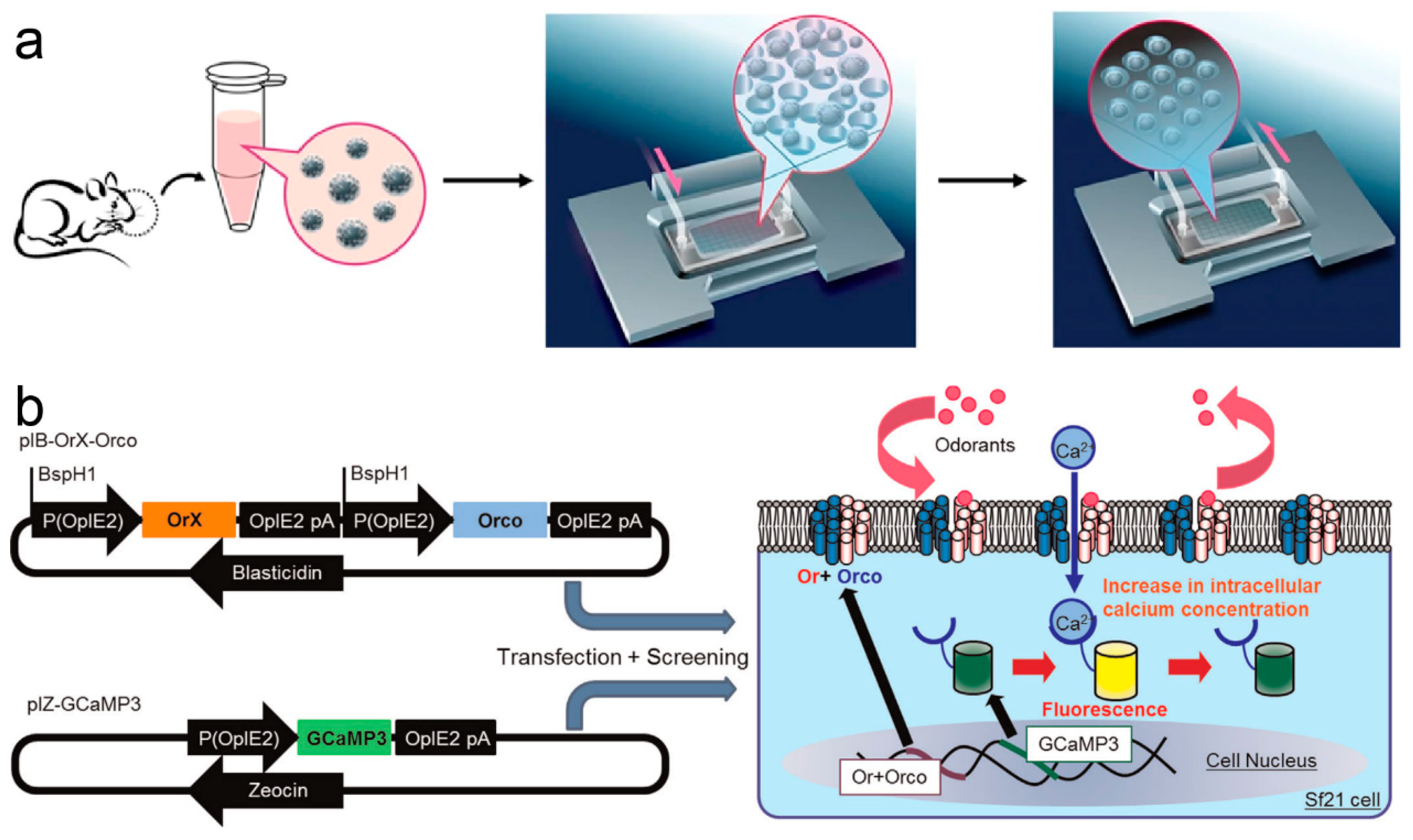 Electronics 14 01852 g003