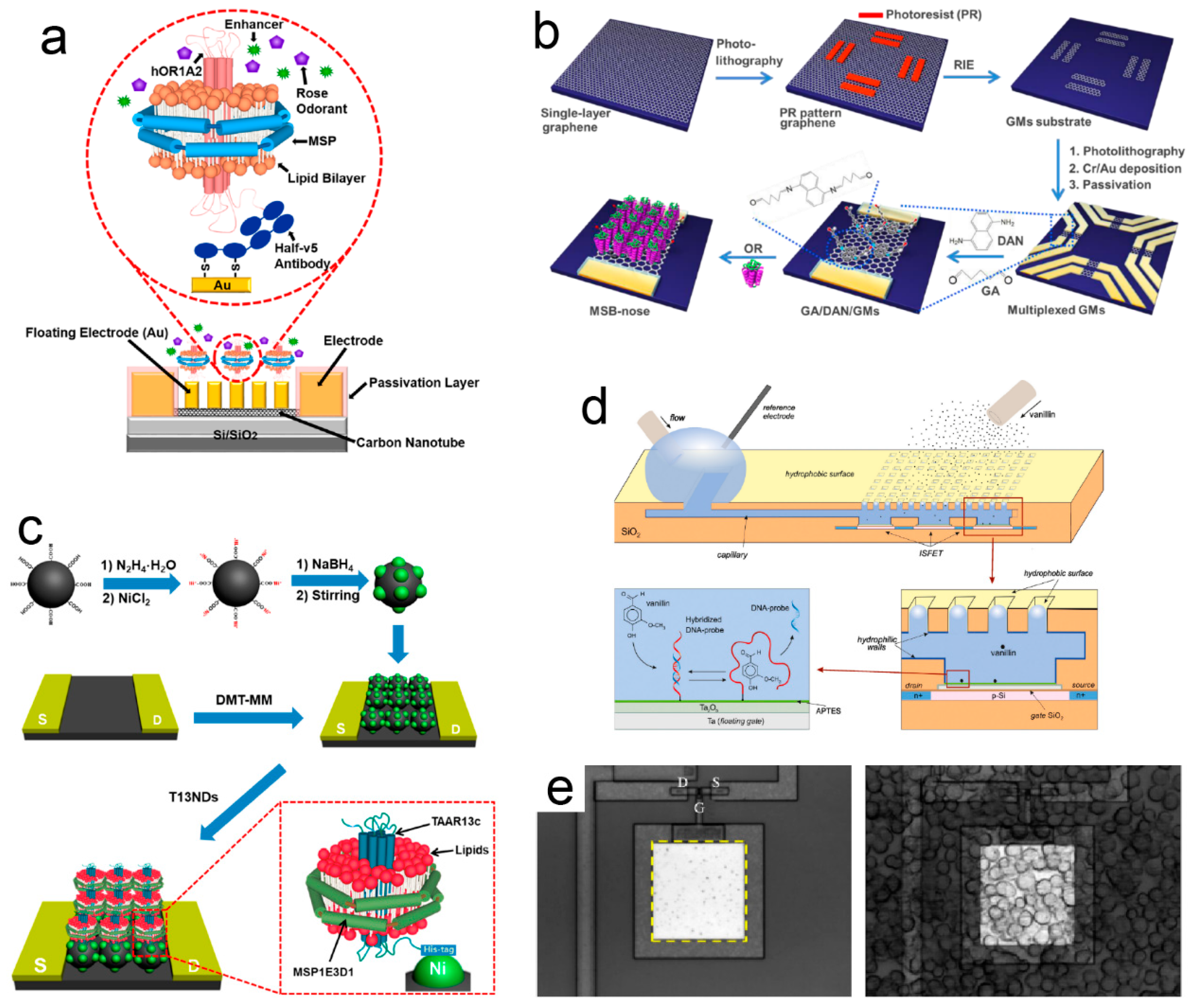 Electronics 14 01852 g005