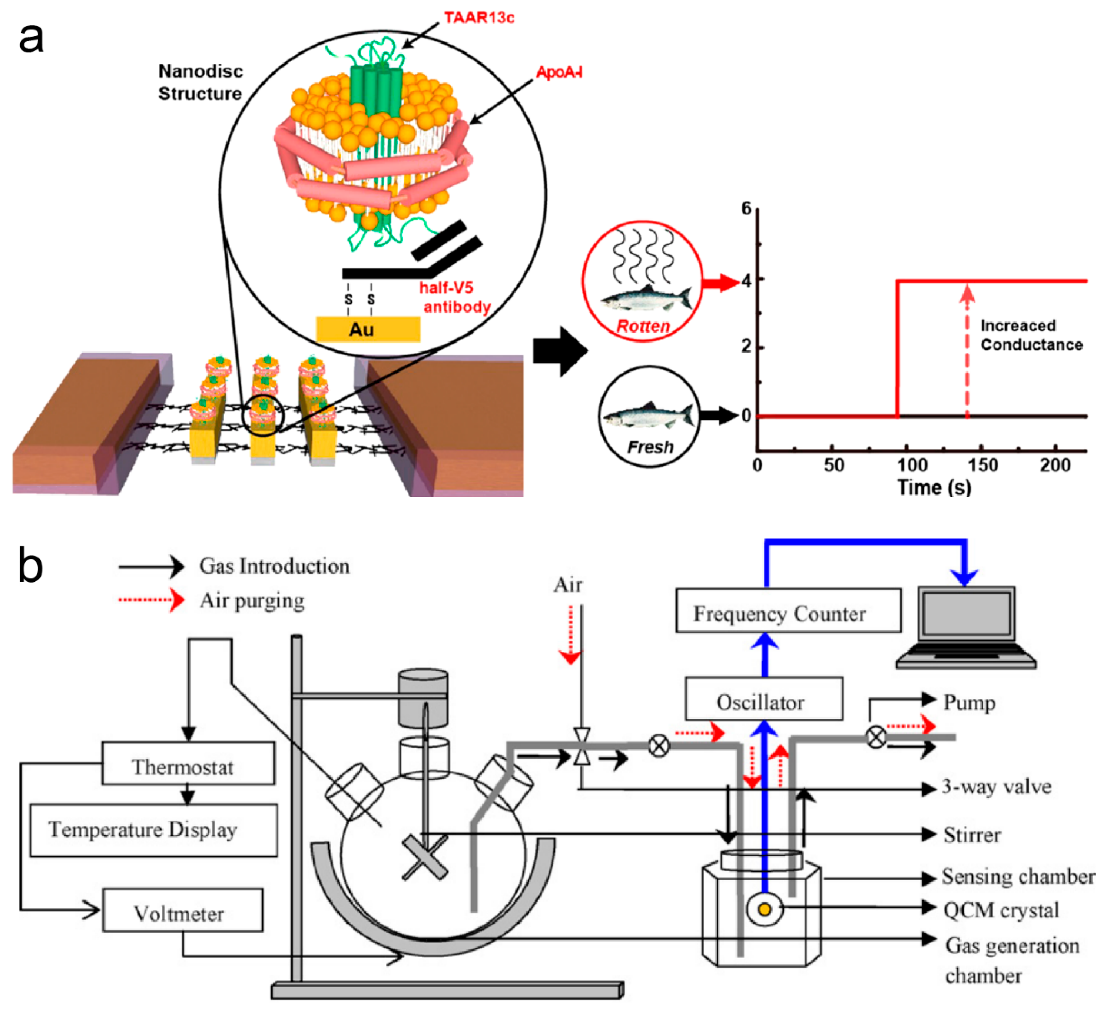 Electronics 14 01852 g011