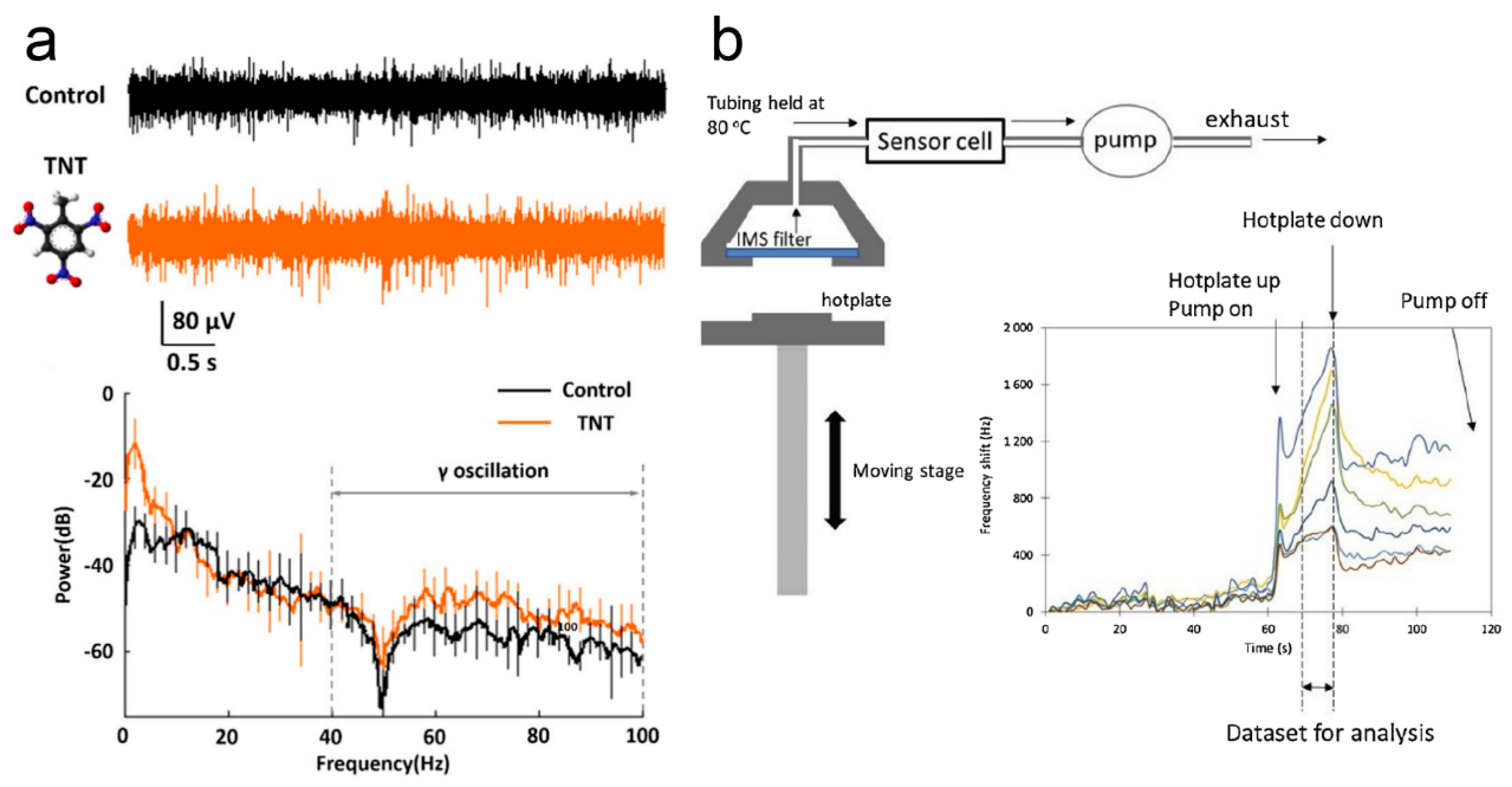 Electronics 14 01852 g012