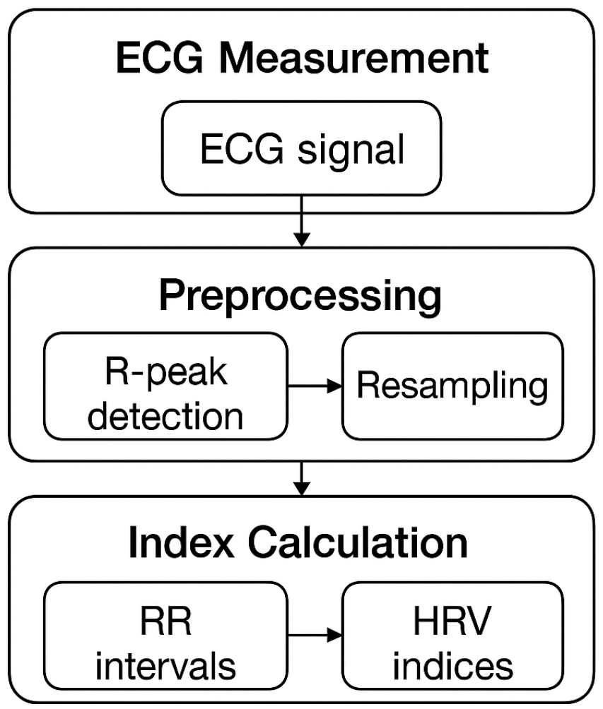 Electronics 14 01903 g002