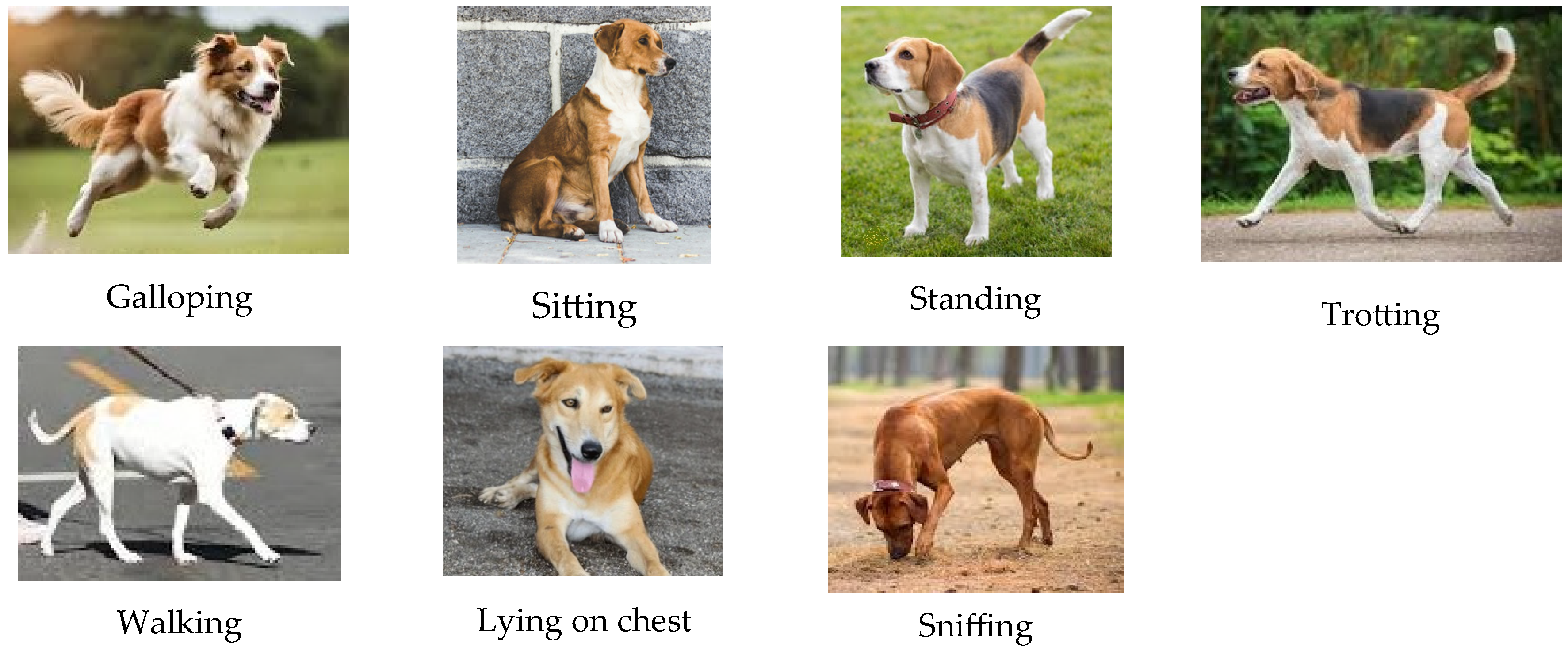 Electronics 14 01924 g001