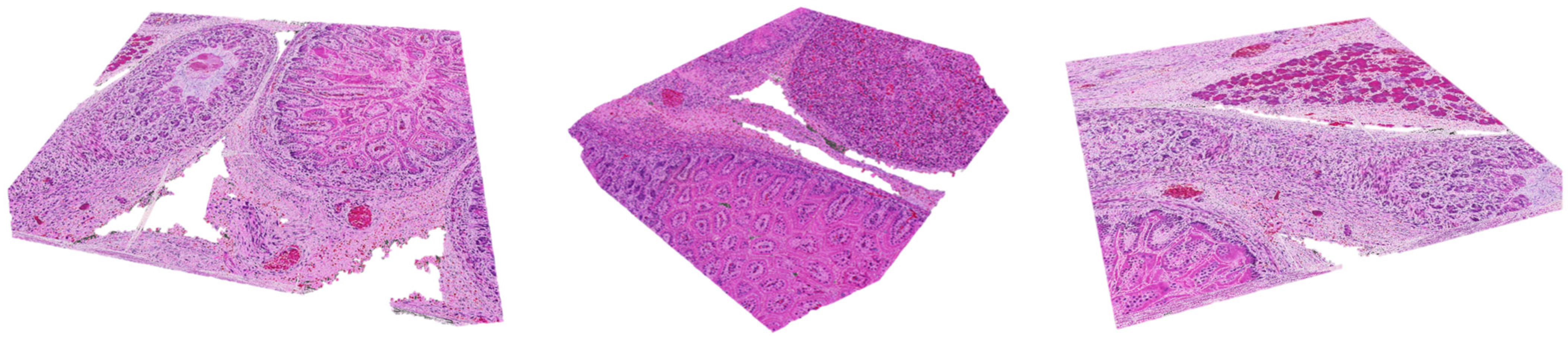 Electronics 14 01943 g003