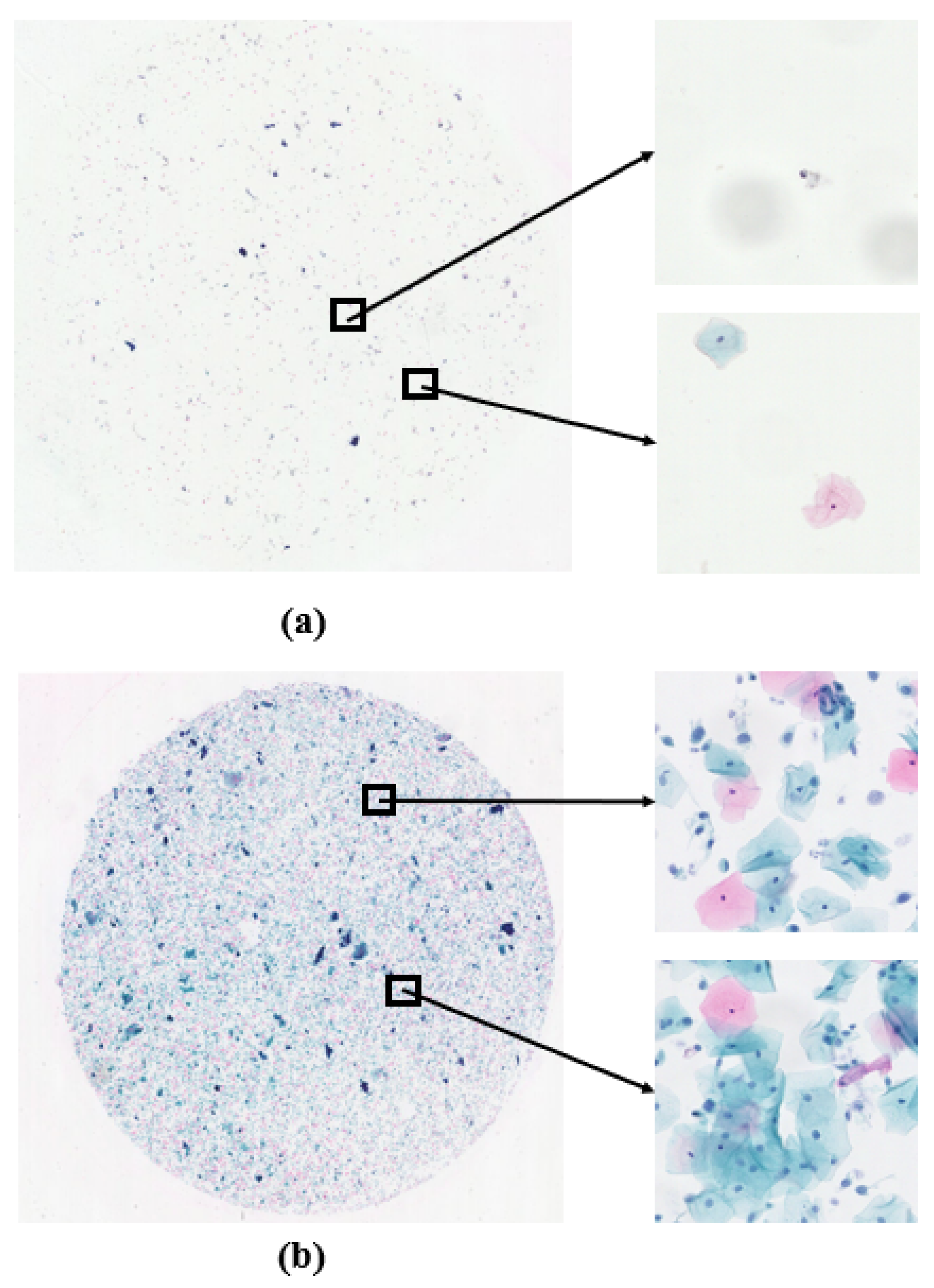 Electronics 14 02014 g002