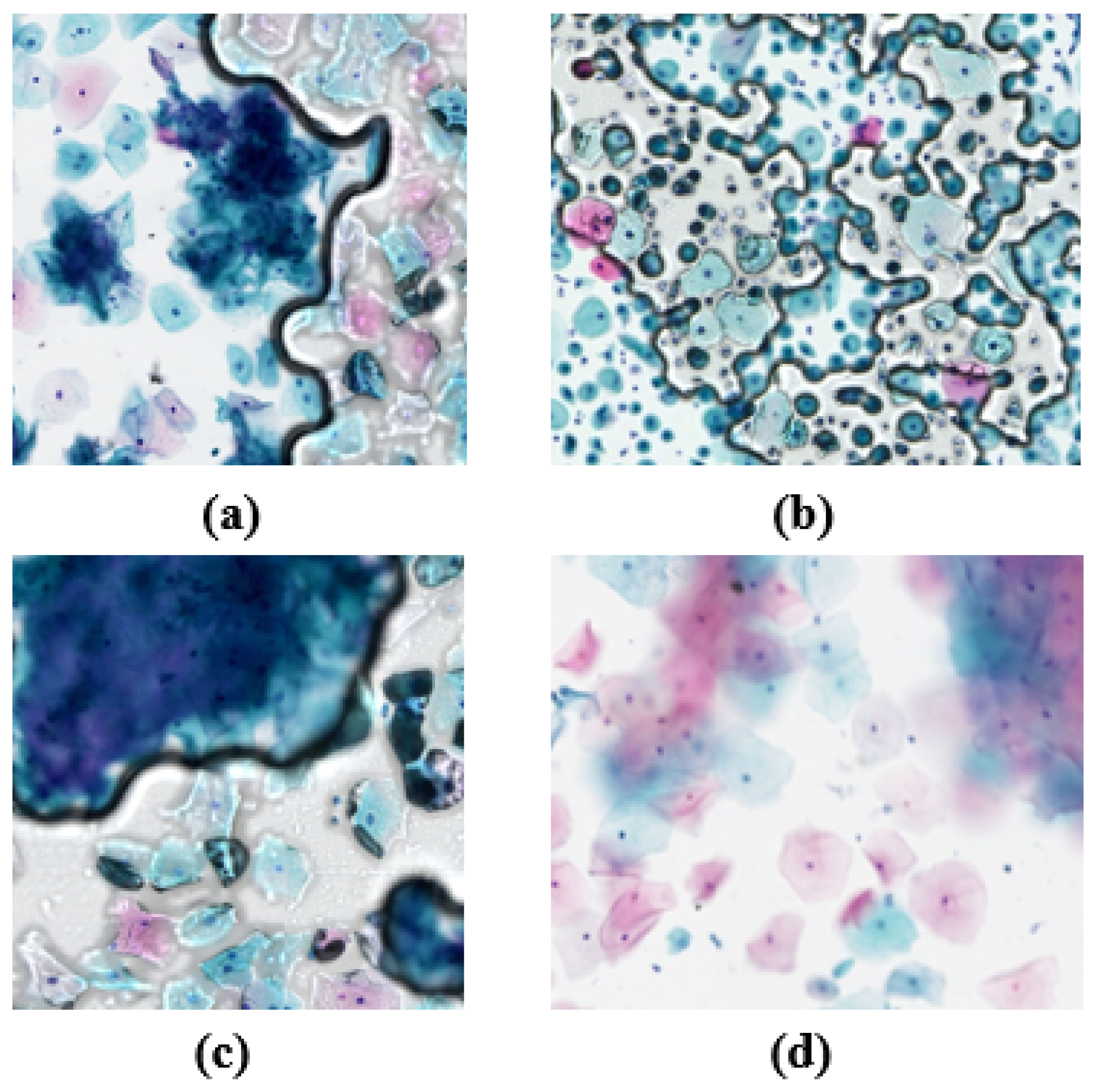 Electronics 14 02014 g003