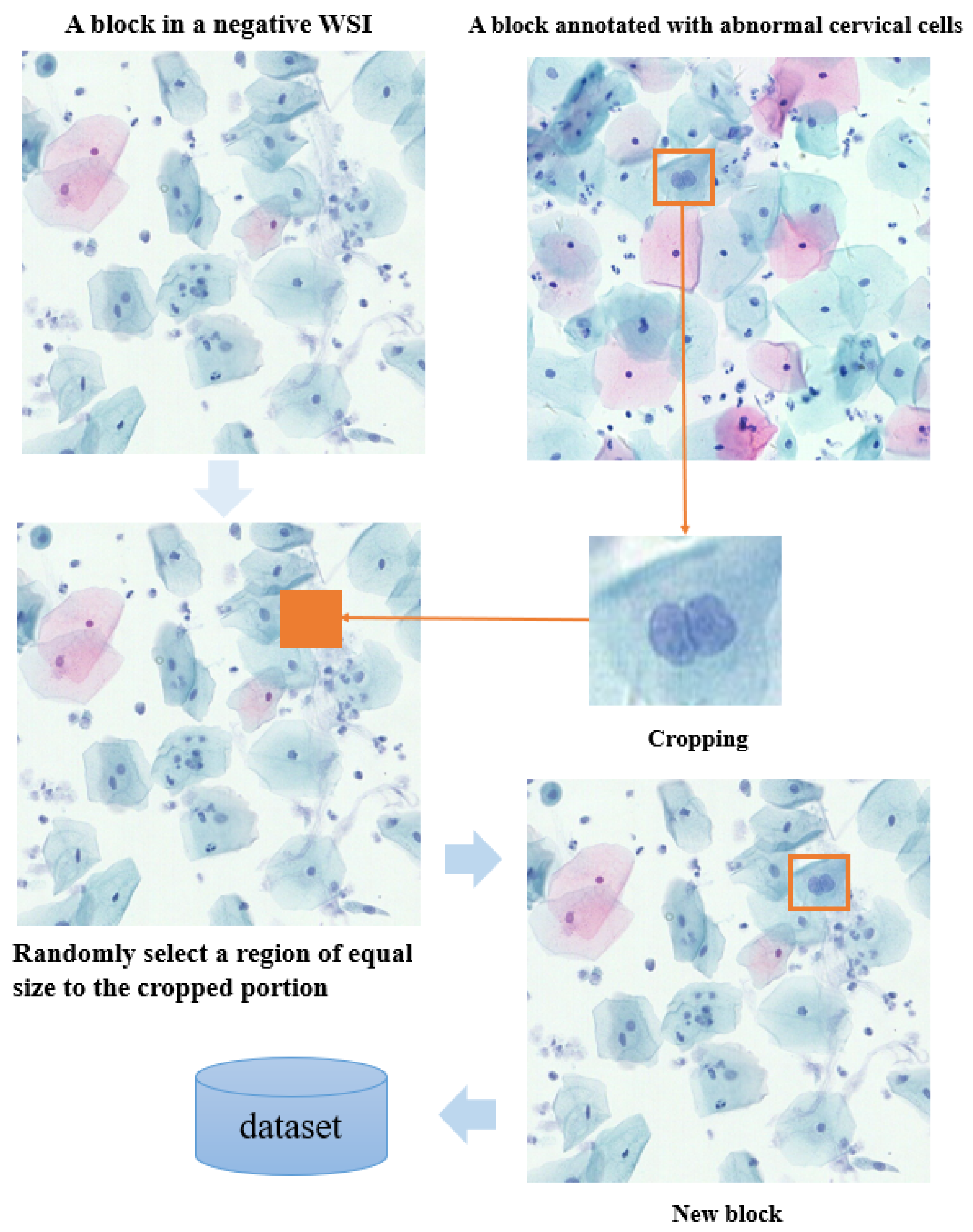 Electronics 14 02014 g004