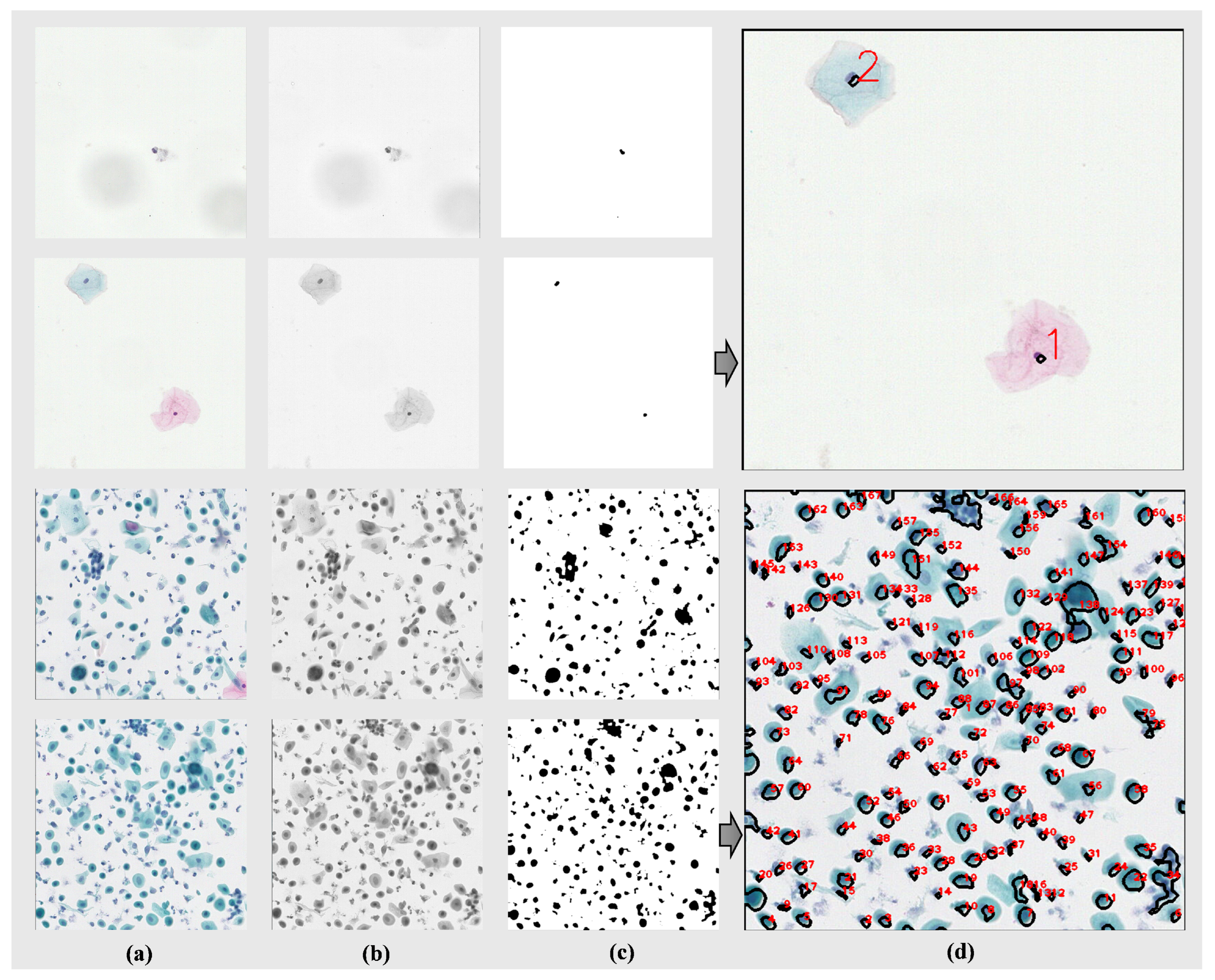 Electronics 14 02014 g005