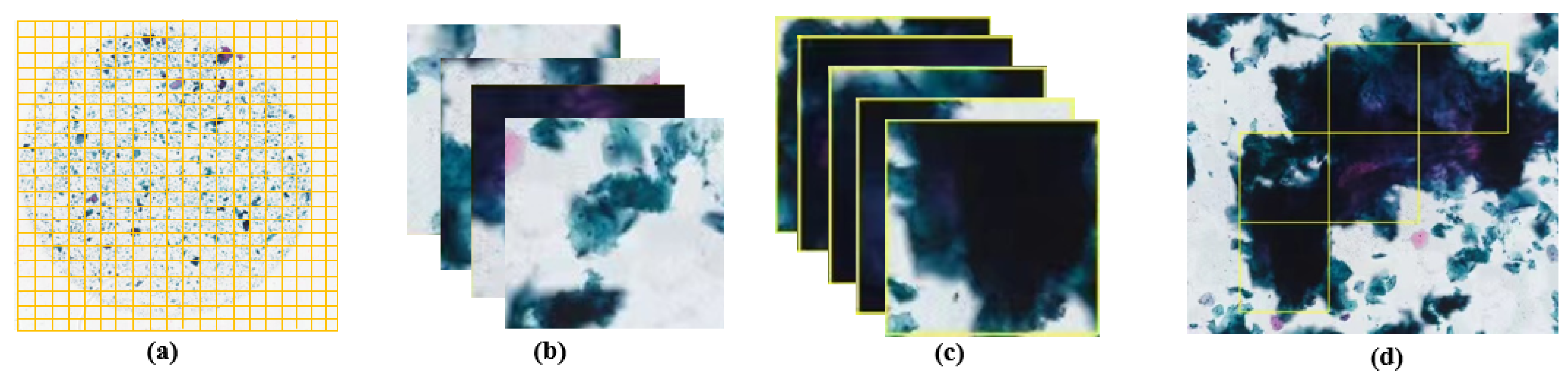 Electronics 14 02014 g006