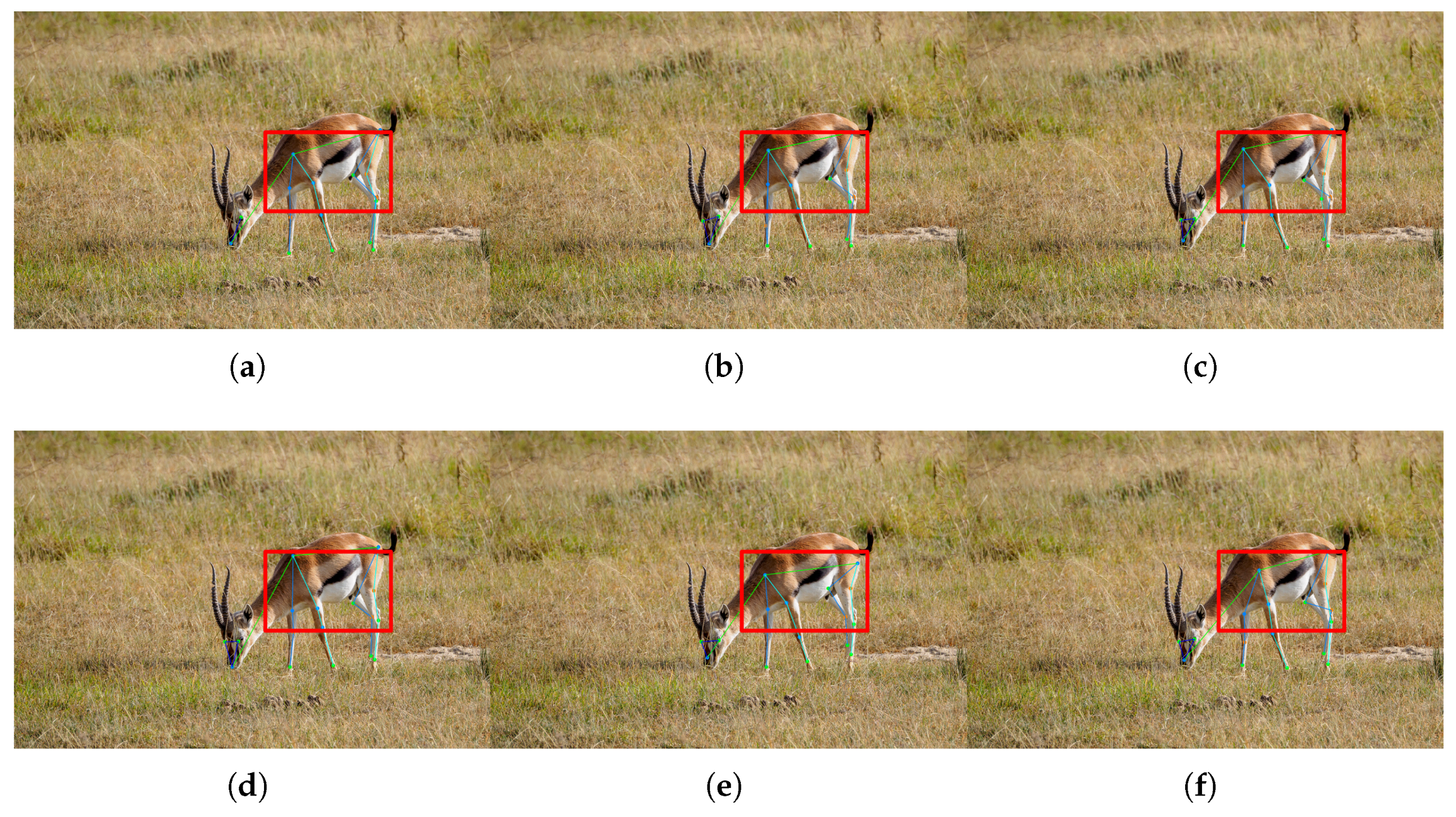 Electronics 14 02038 g005