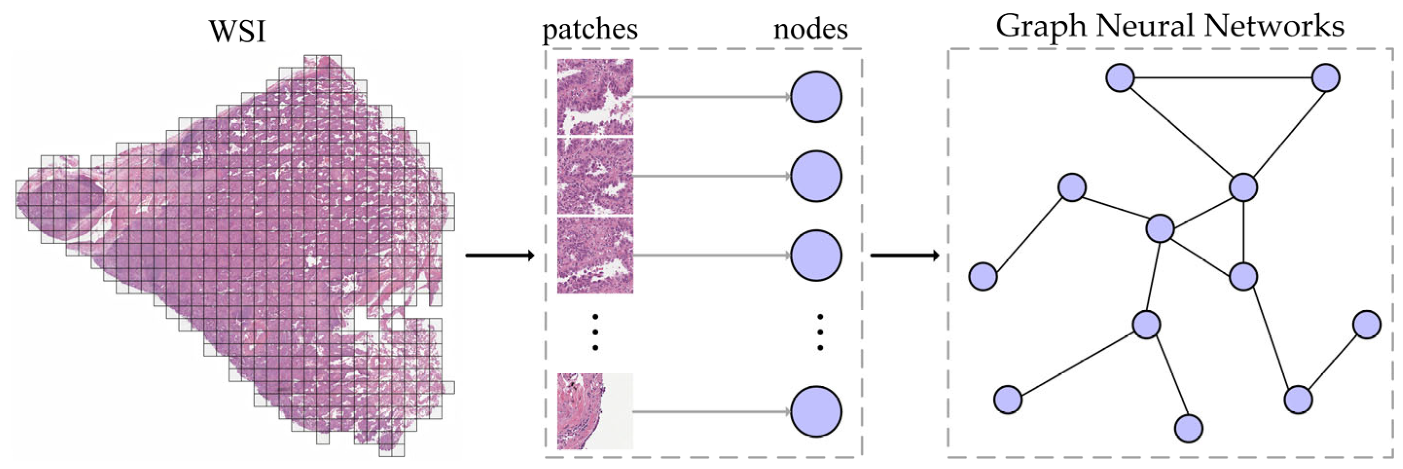 Electronics 14 02056 g001