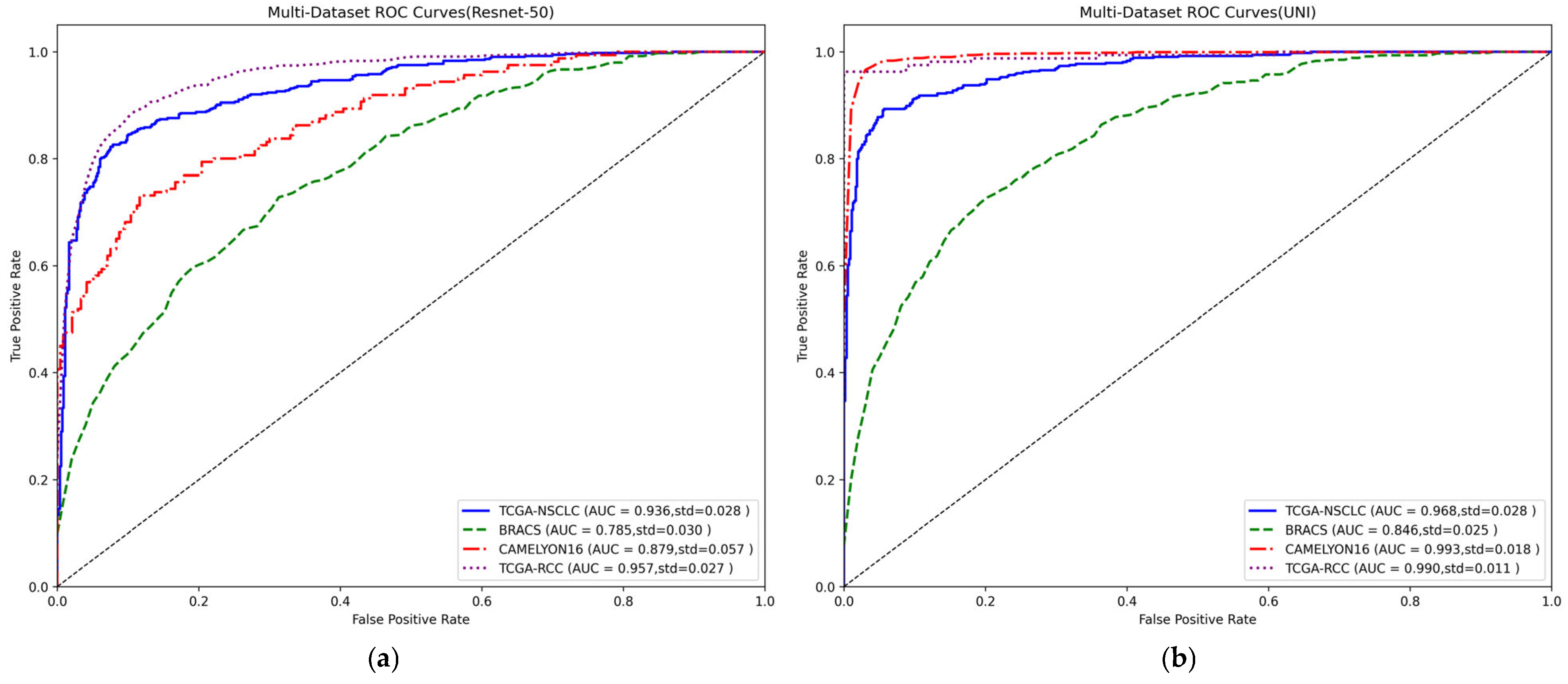 Electronics 14 02056 g006