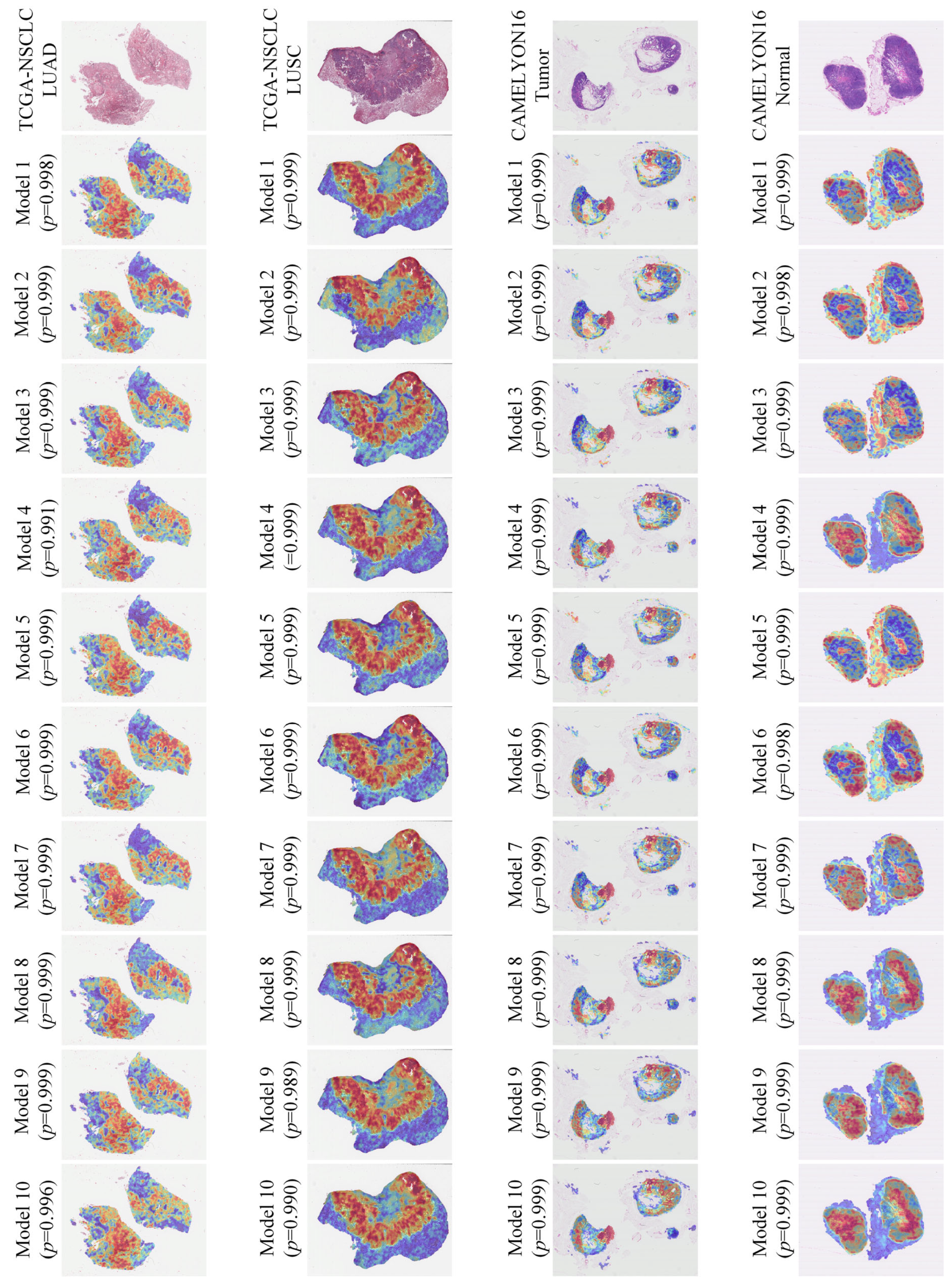 Electronics 14 02056 g008