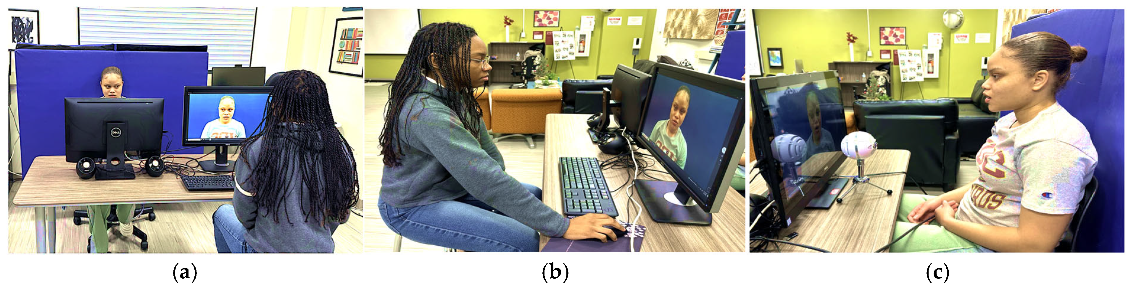 Electronics 14 02066 g001 Electronics 14 02066 g001