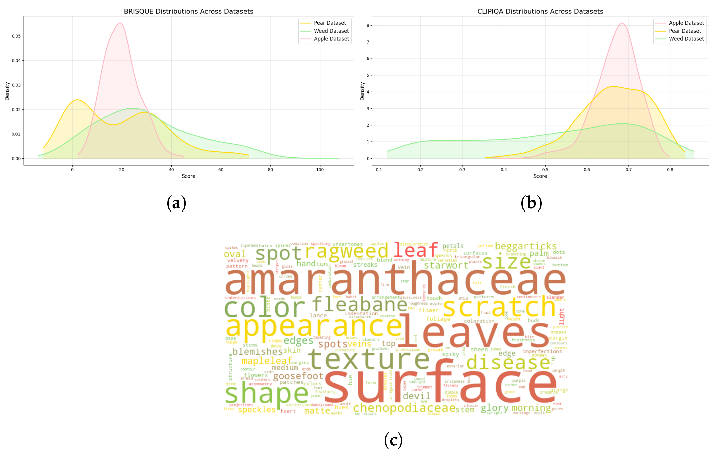 Electronics 14 02087 g003