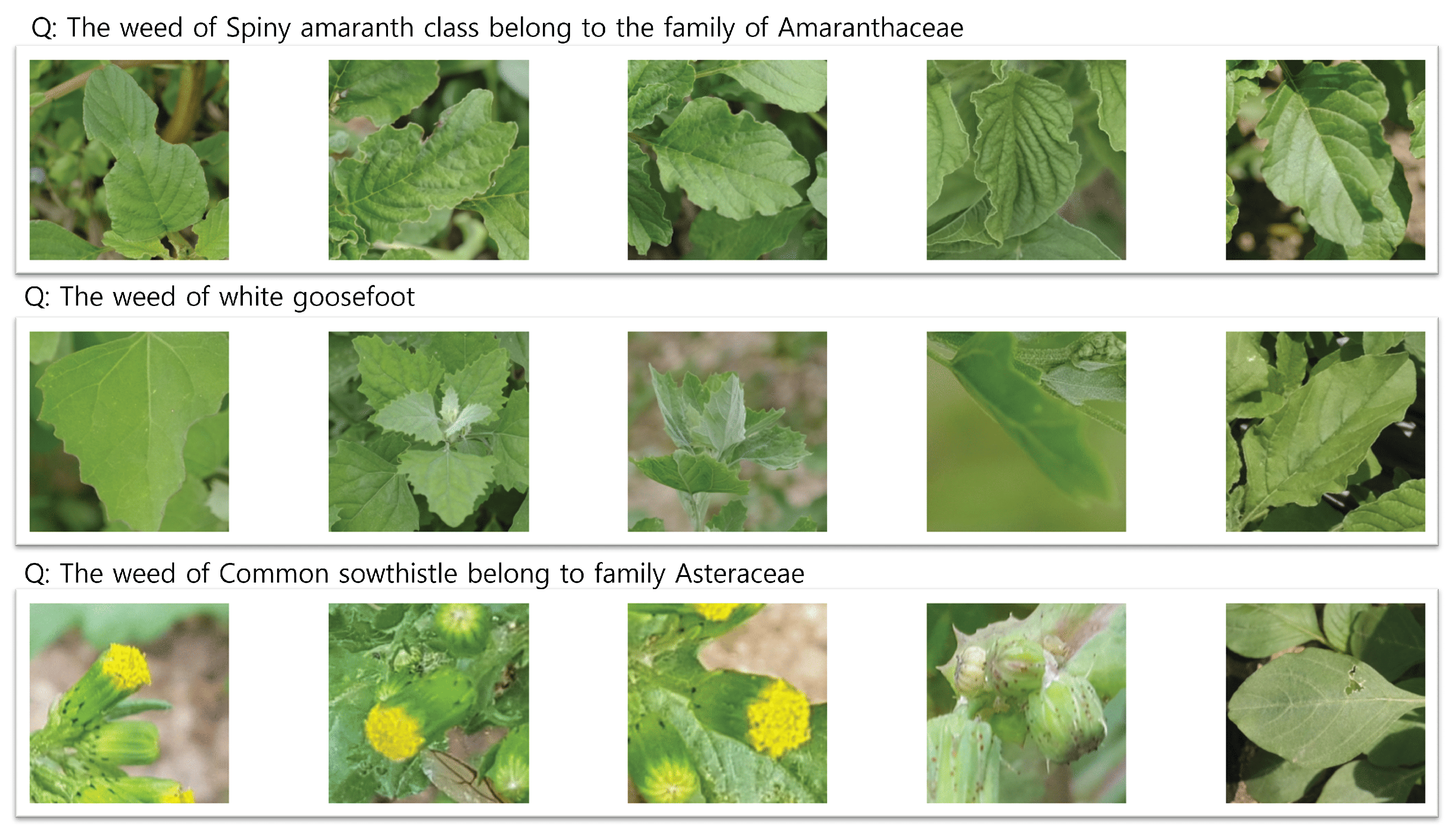 Electronics 14 02087 g007