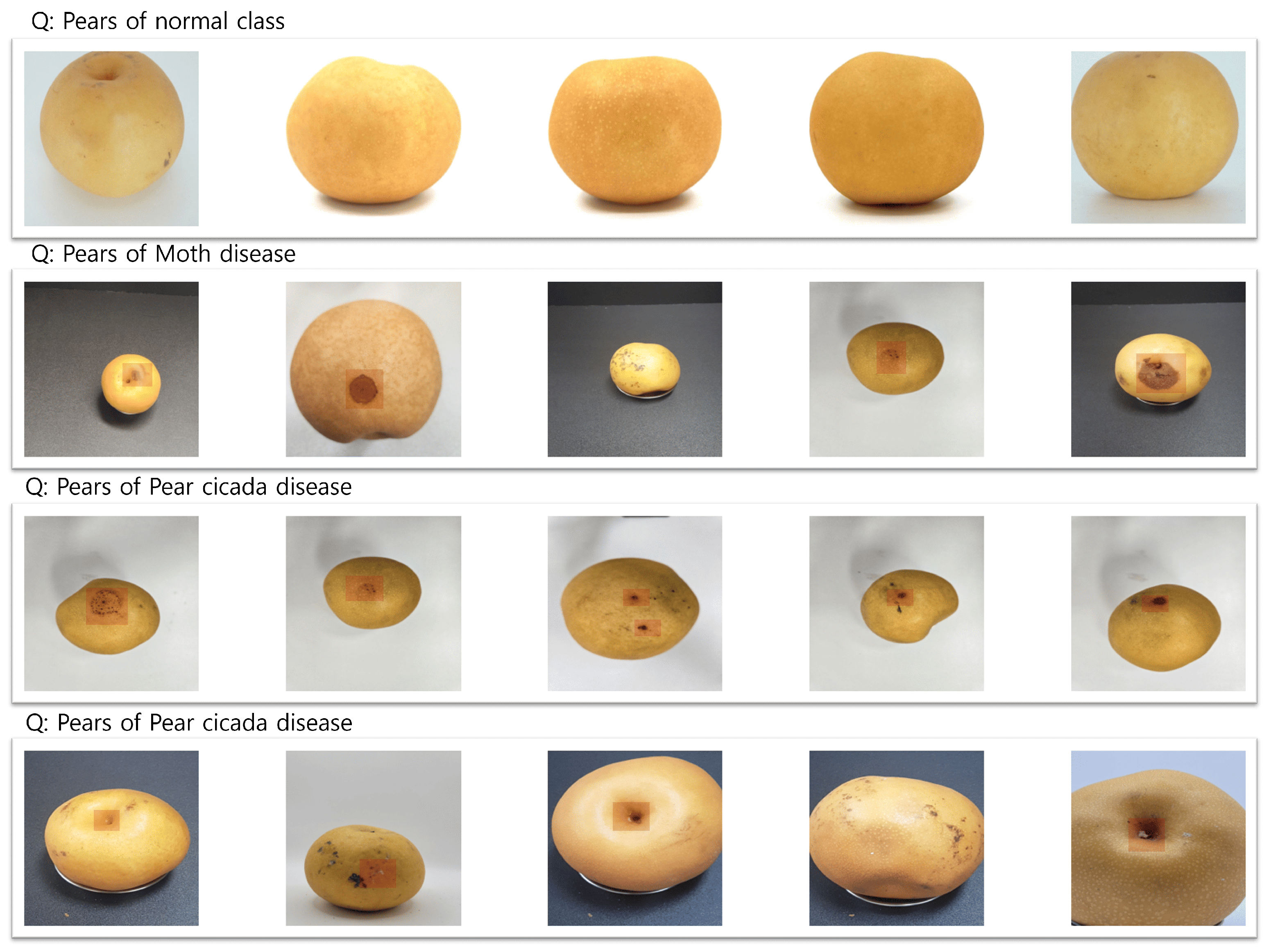 Electronics 14 02087 g008