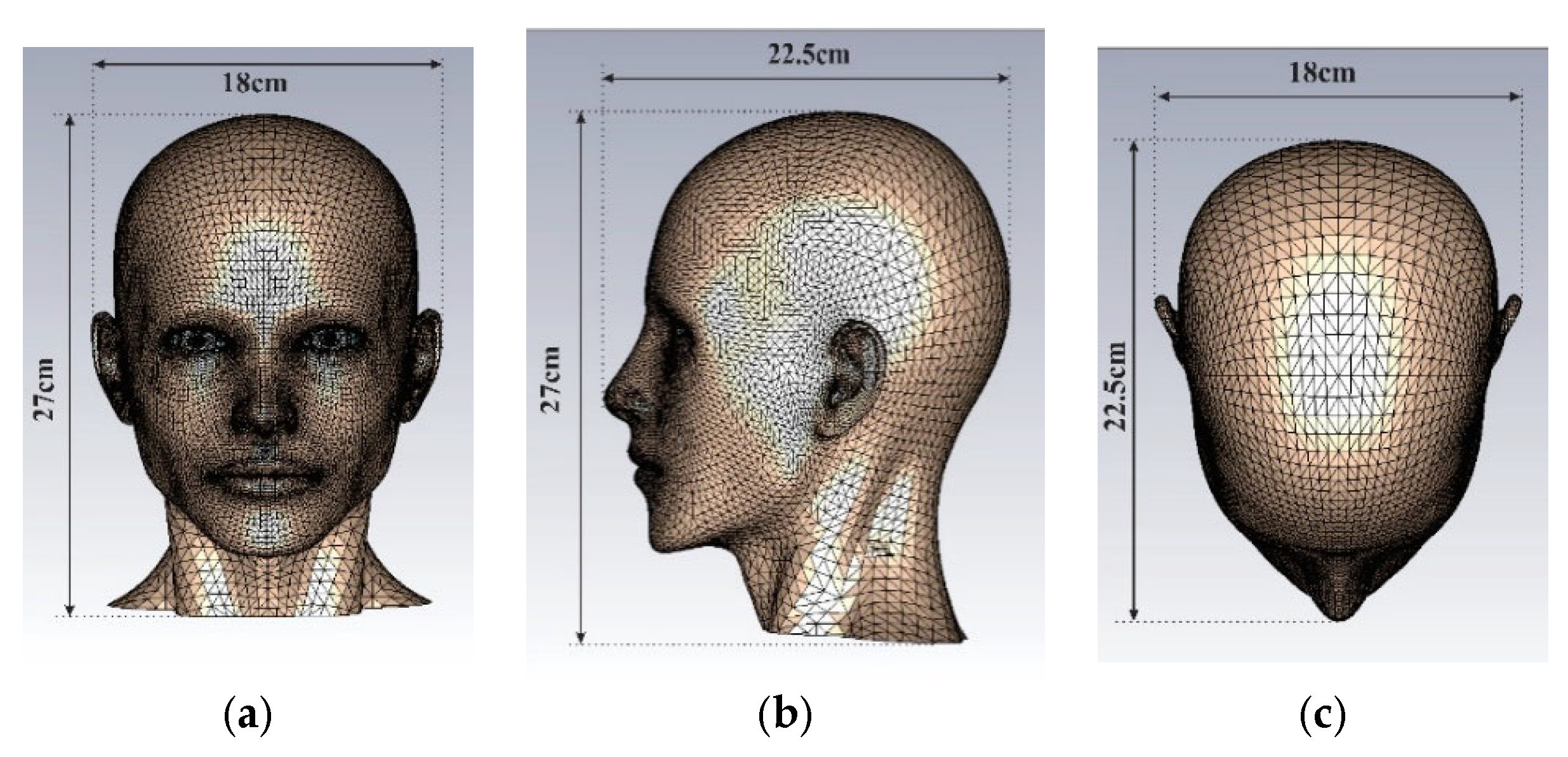 Electronics 14 02096 g001 Electronics 14 02096 g001