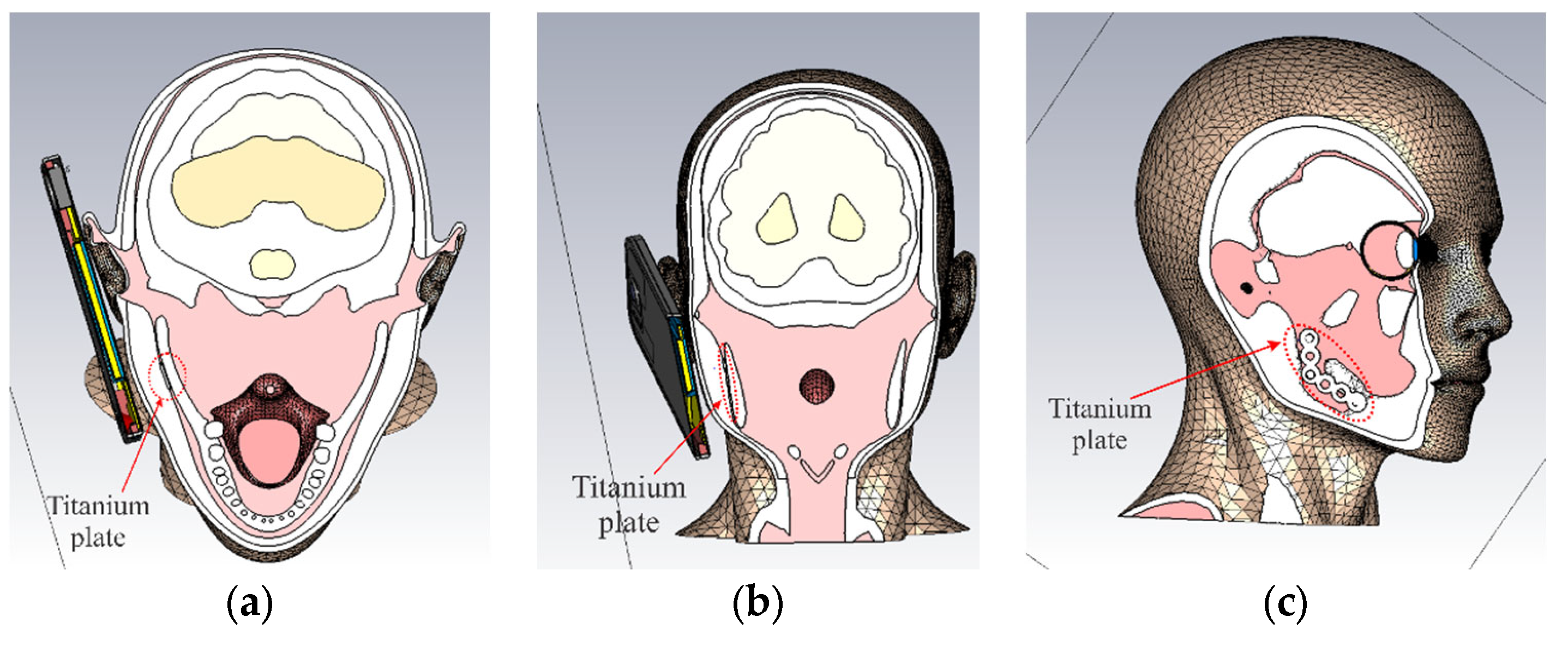 Electronics 14 02096 g008 Electronics 14 02096 g008