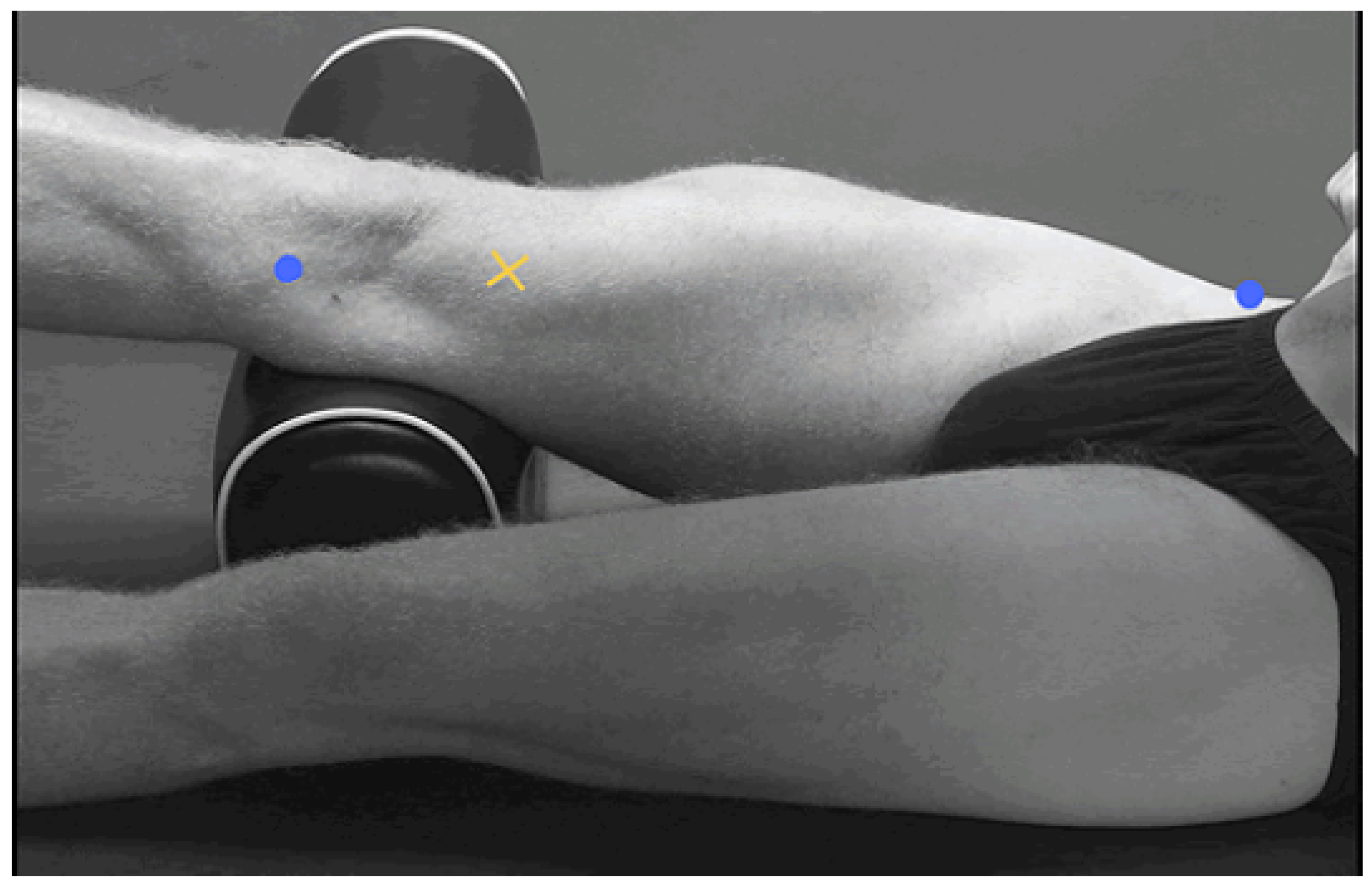 Electronics 14 02097 g002