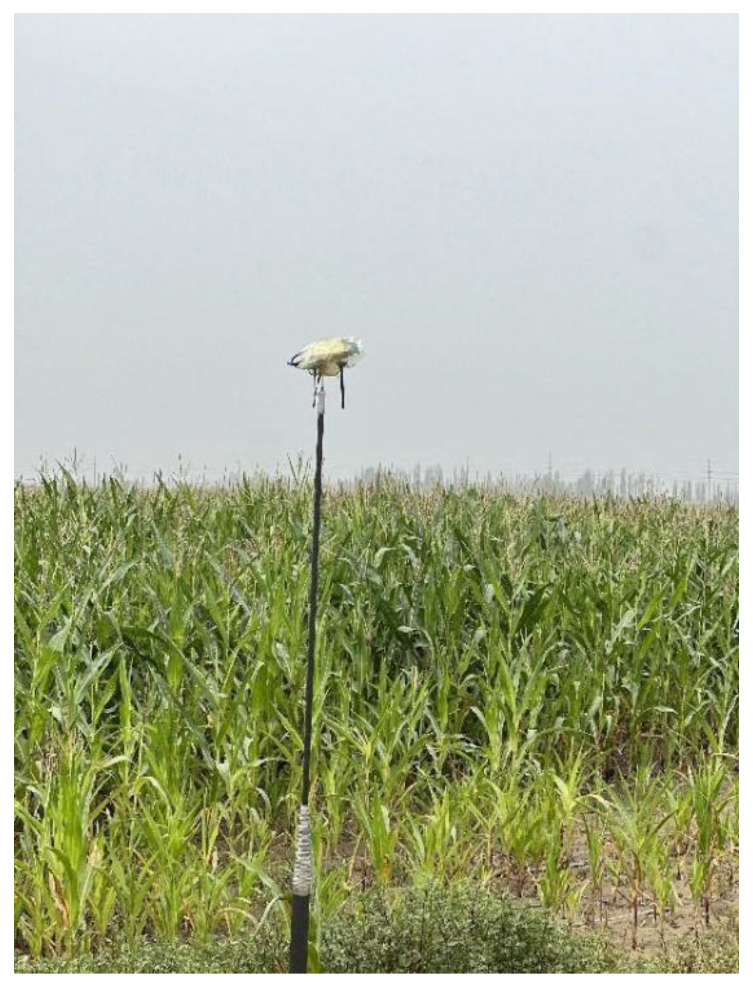 Electronics 14 02156 g007