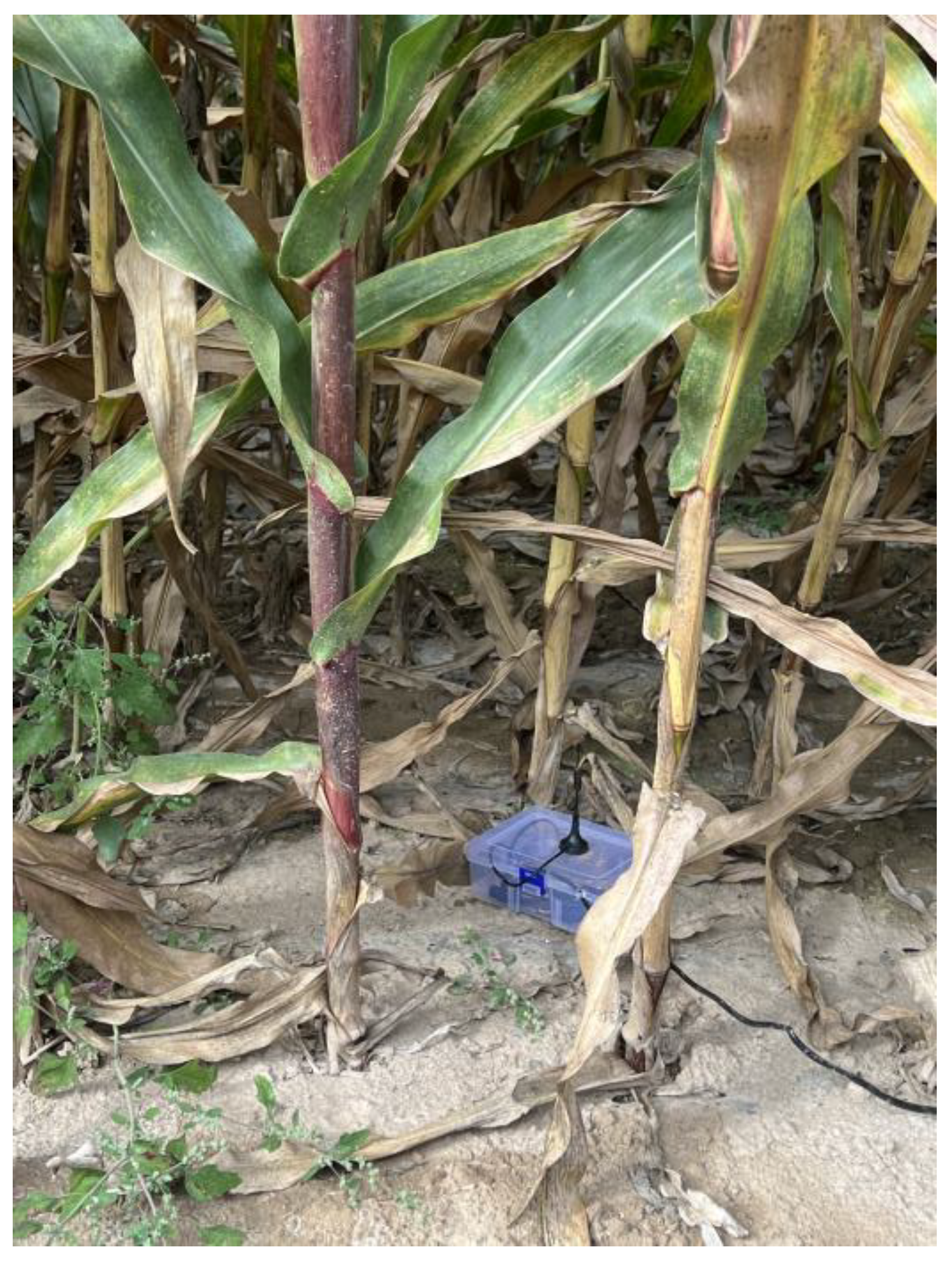 Electronics 14 02156 g008