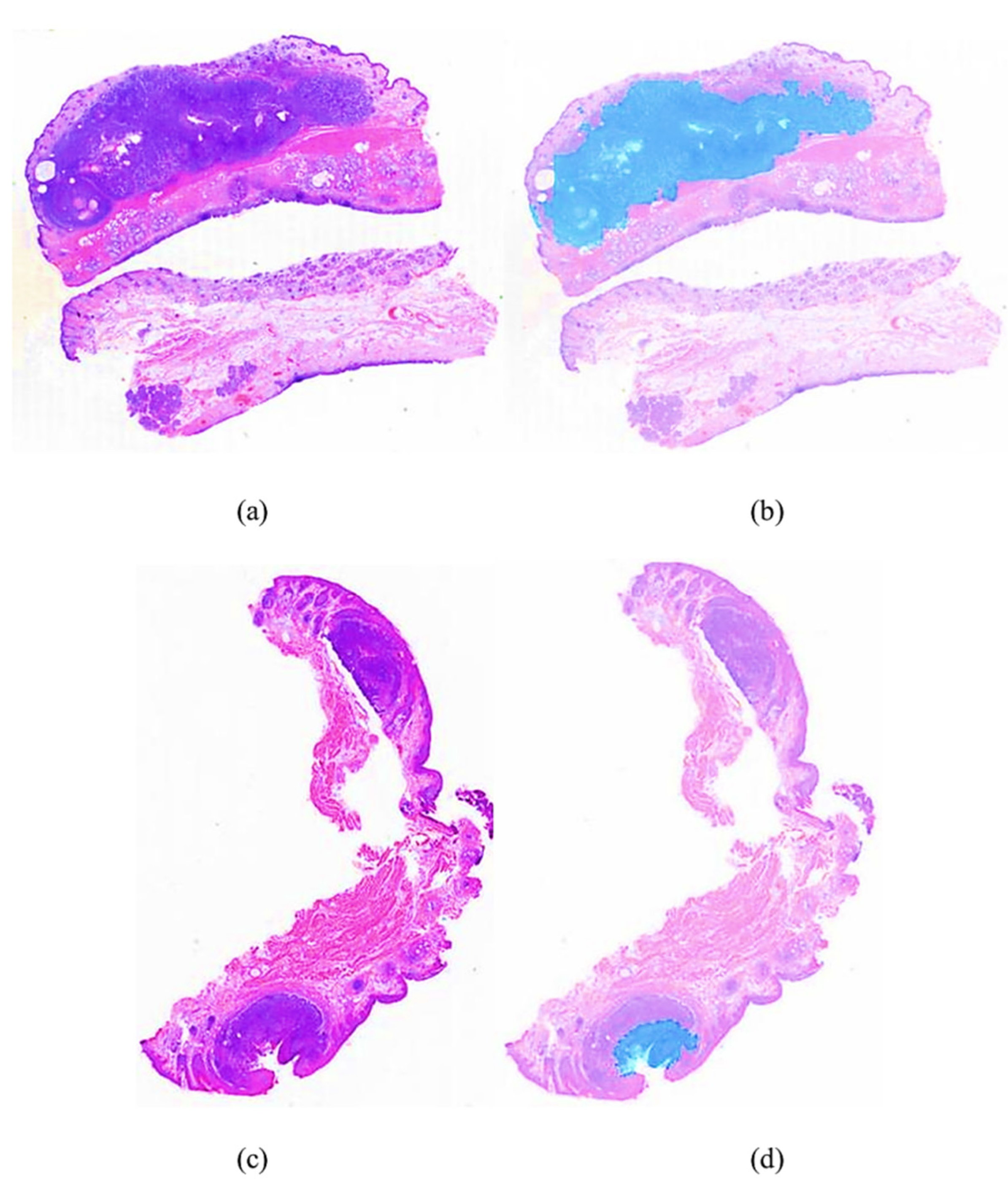 Electronics 14 02369 g007