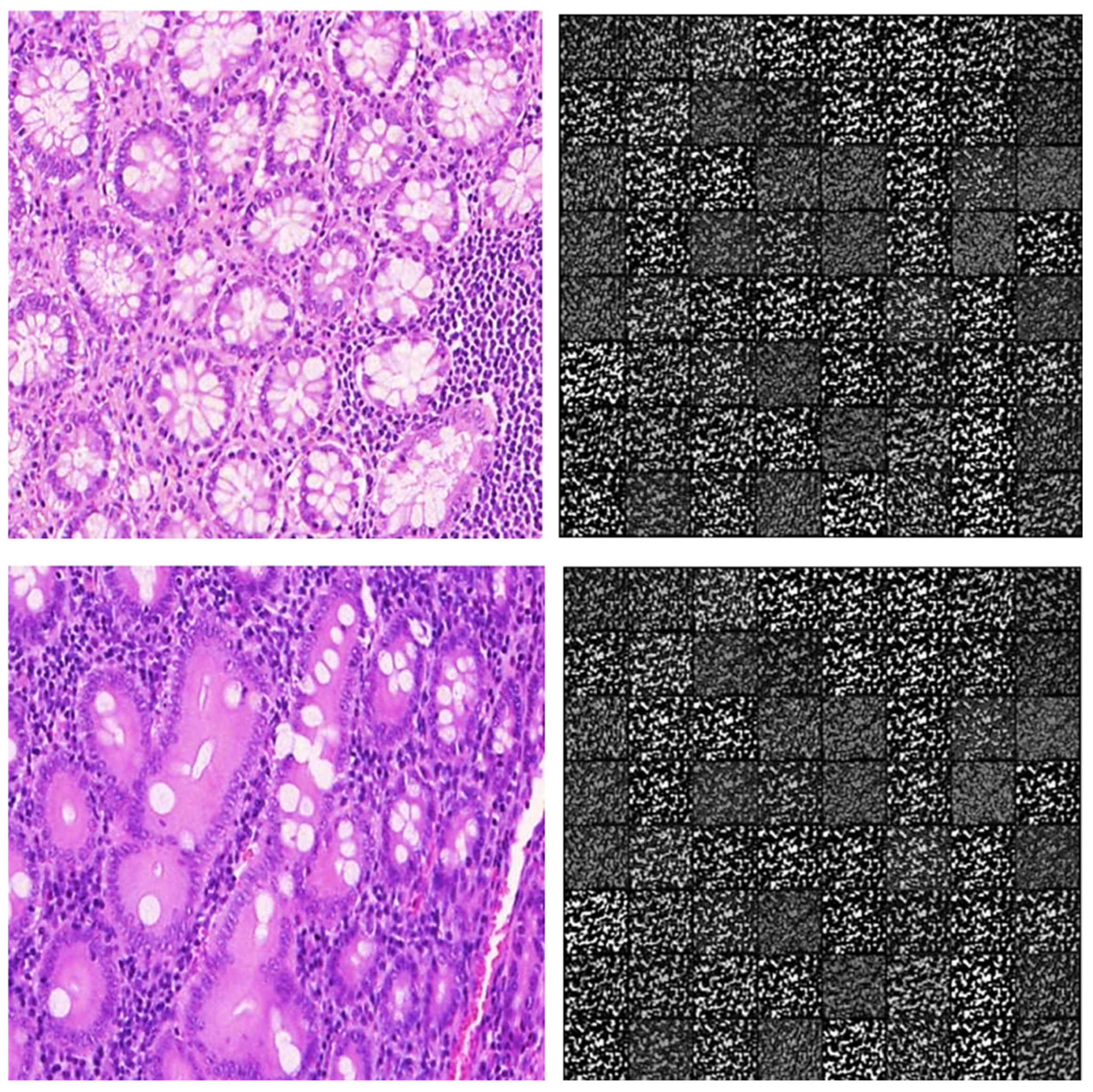 Electronics 14 02369 g010