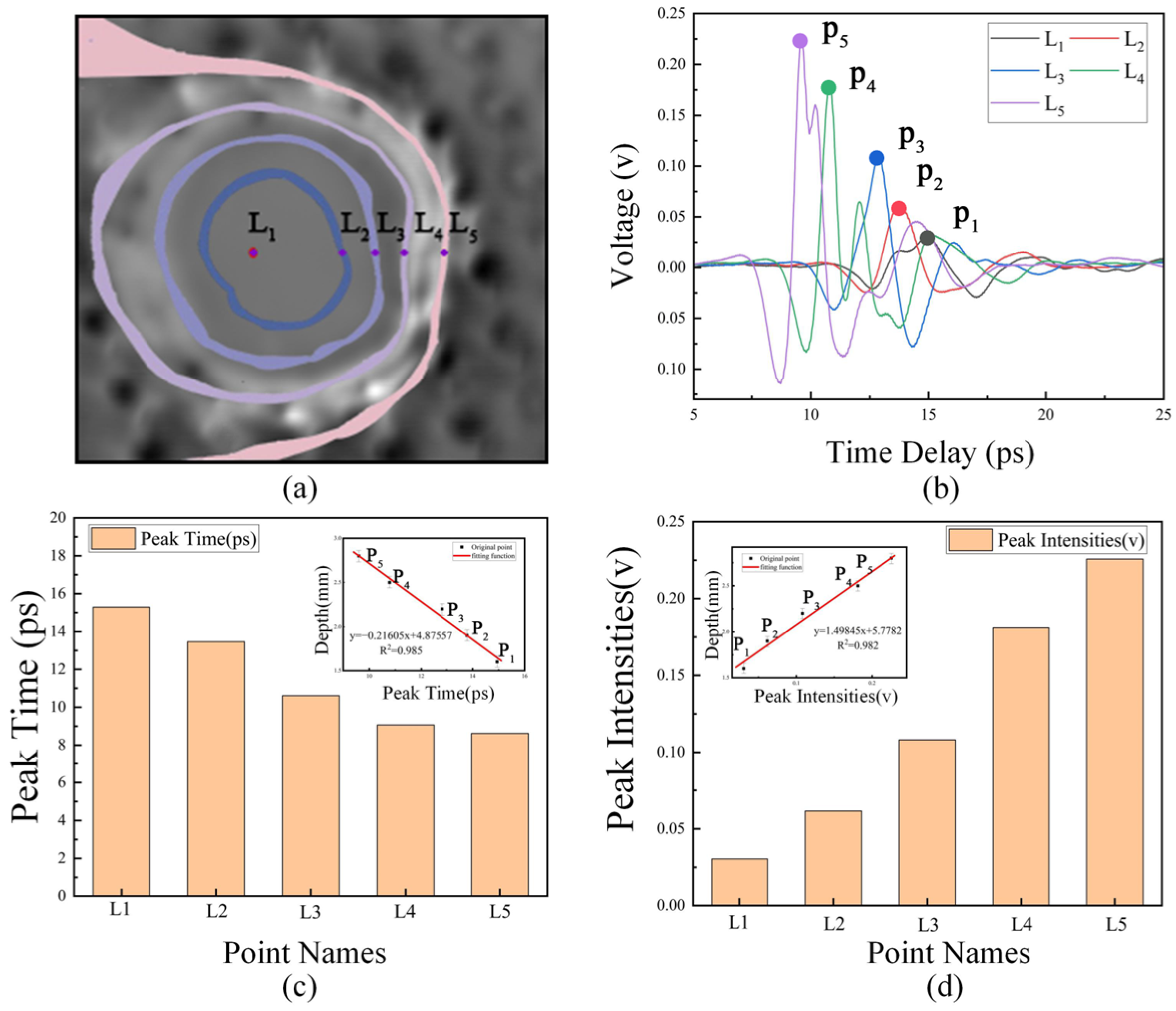 Electronics 14 02412 g003