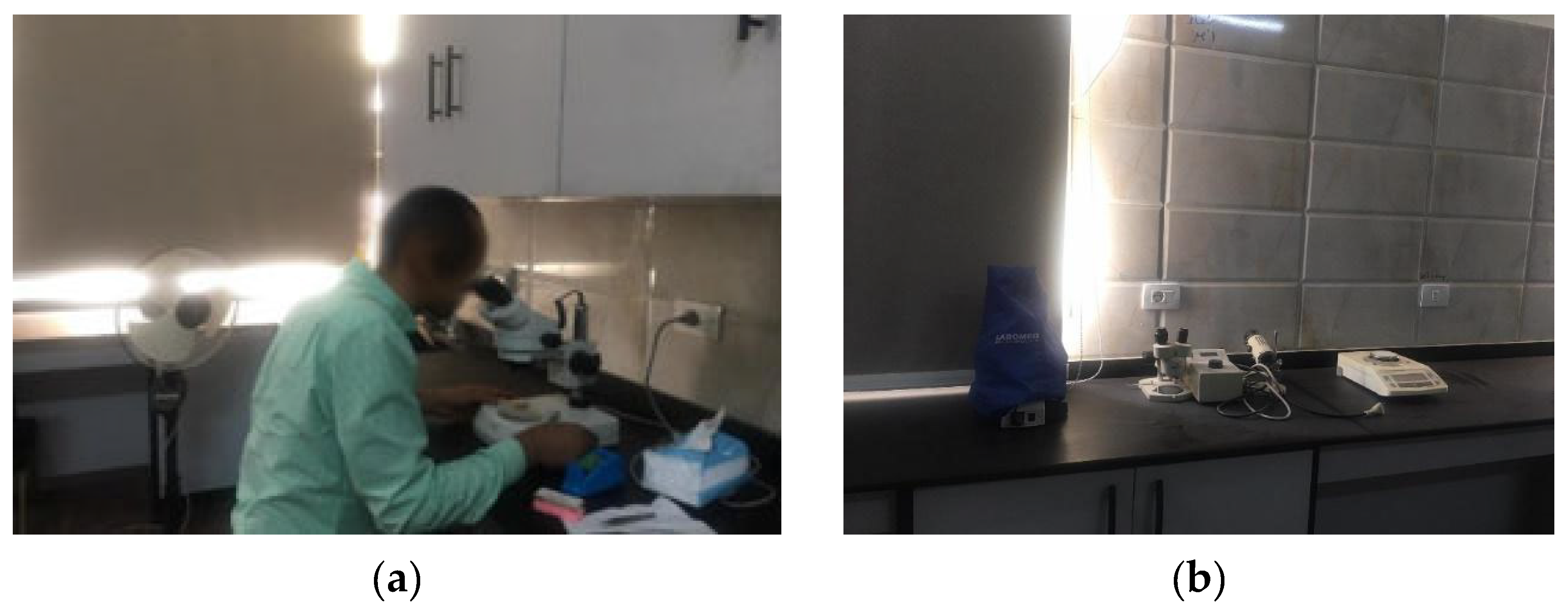 Electronics 14 02513 g002