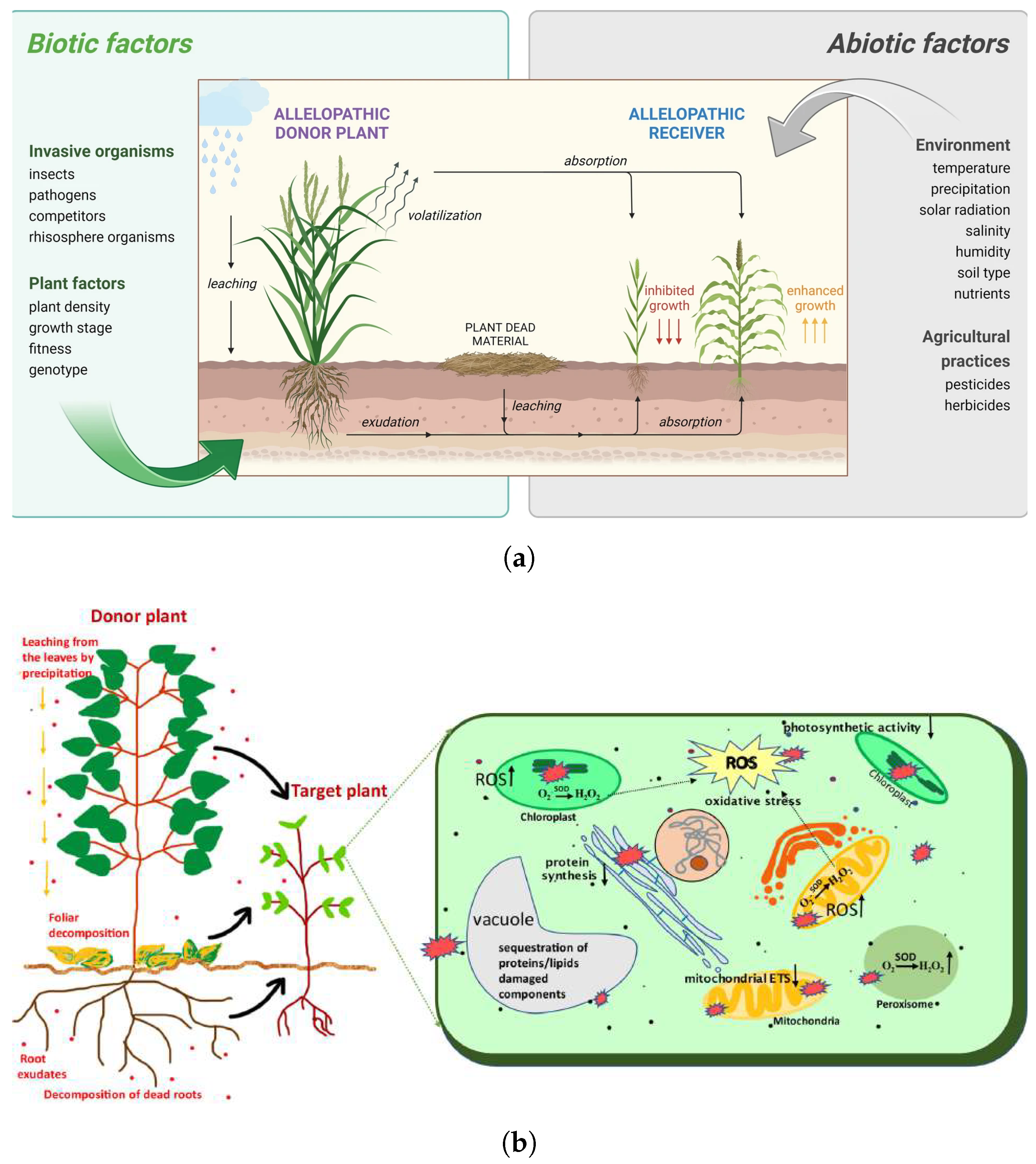Electronics 14 02517 g002