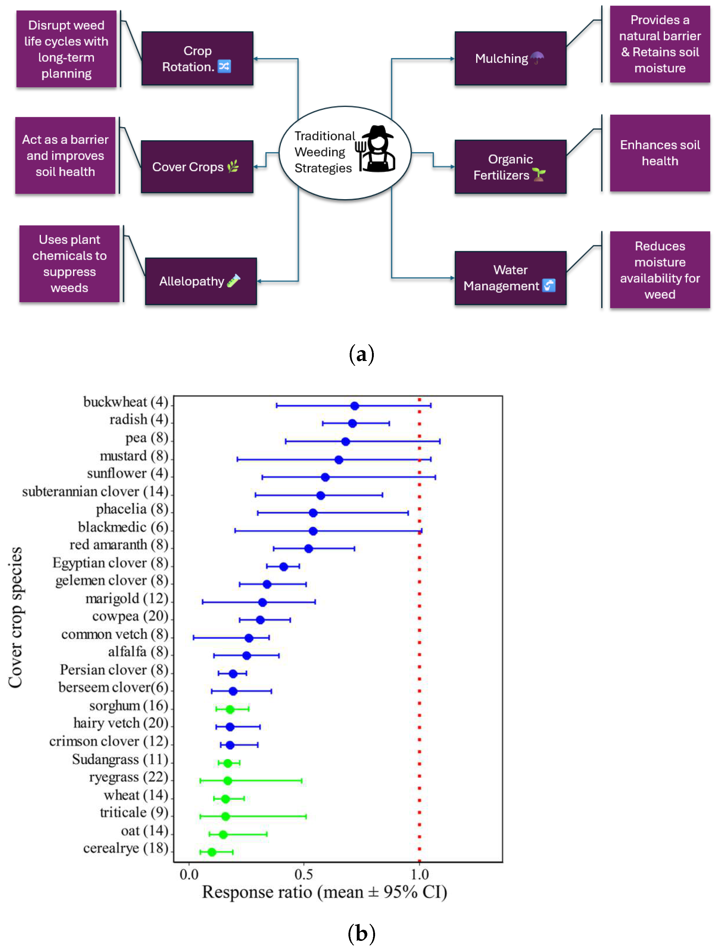 Electronics 14 02517 g004