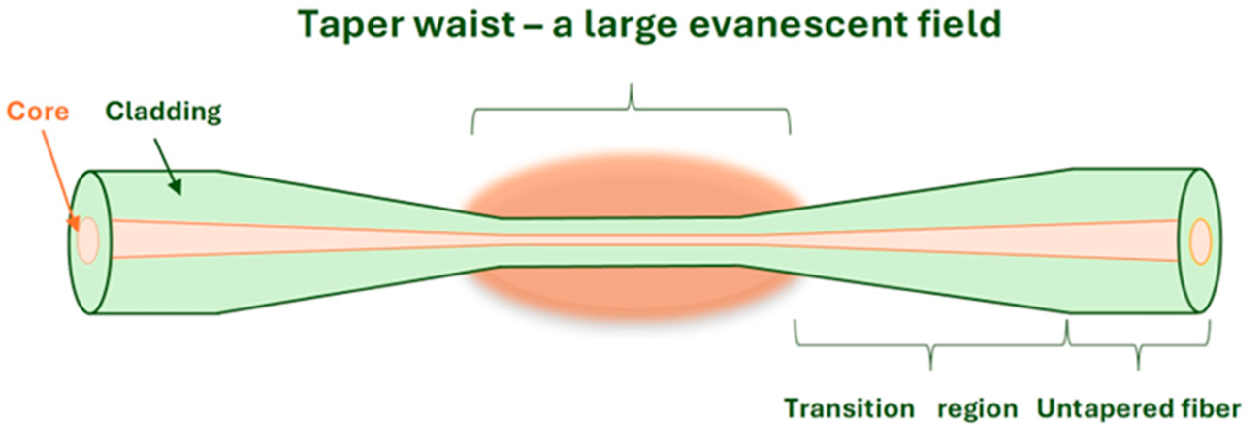 Electronics 14 02619 g001