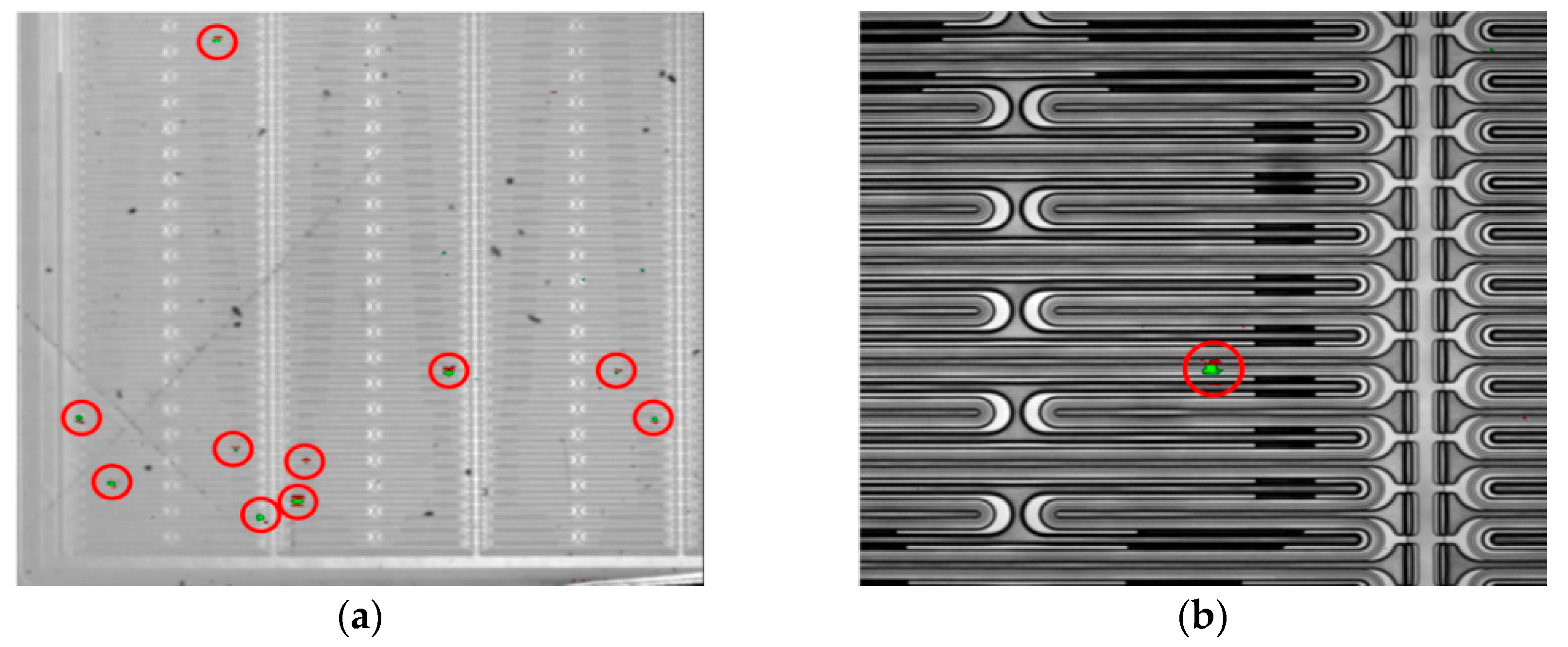 Electronics 14 02653 g007