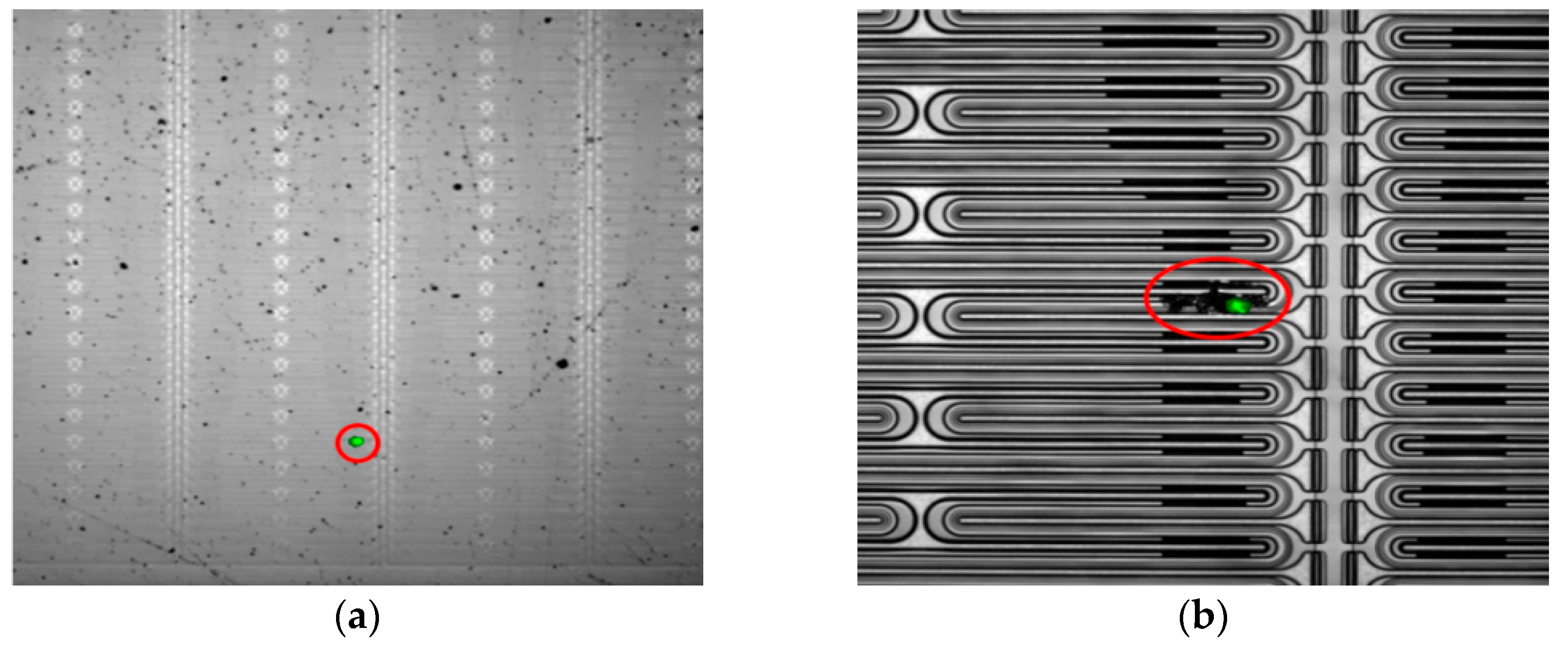 Electronics 14 02653 g008