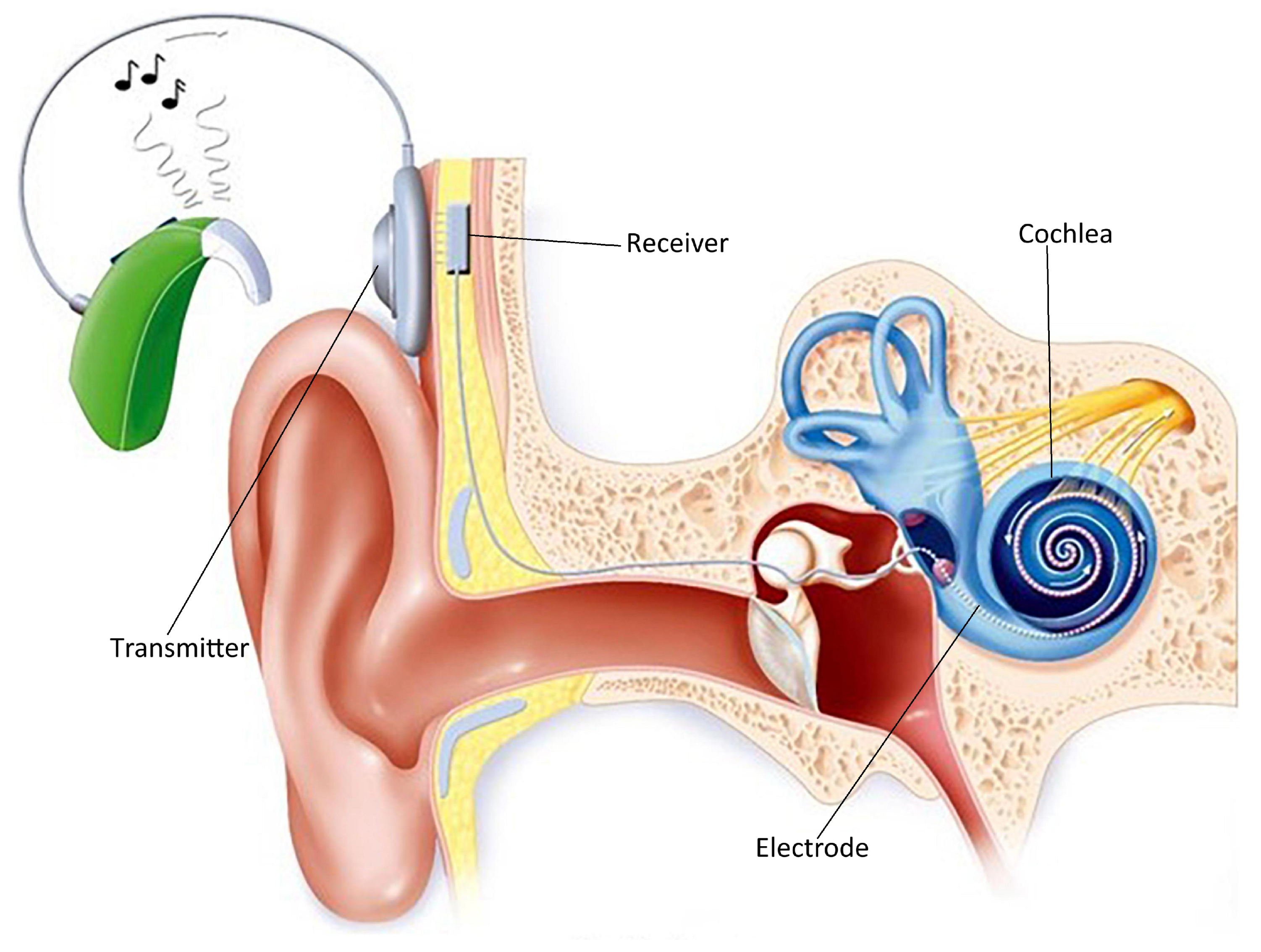 Electronics 14 02685 g001