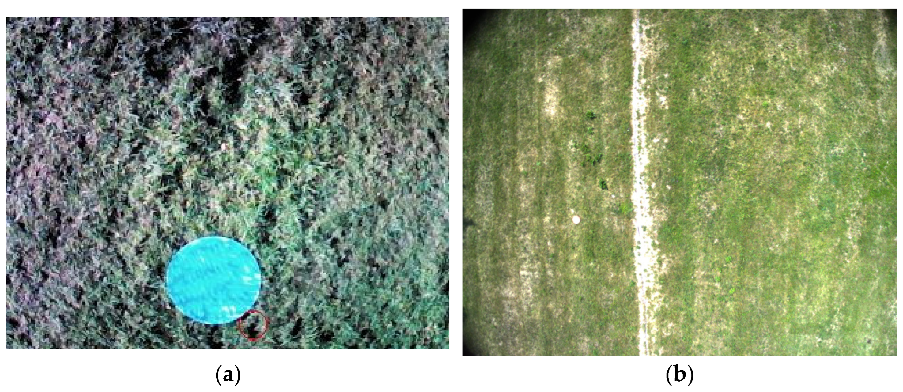 Electronics 14 02726 g008a