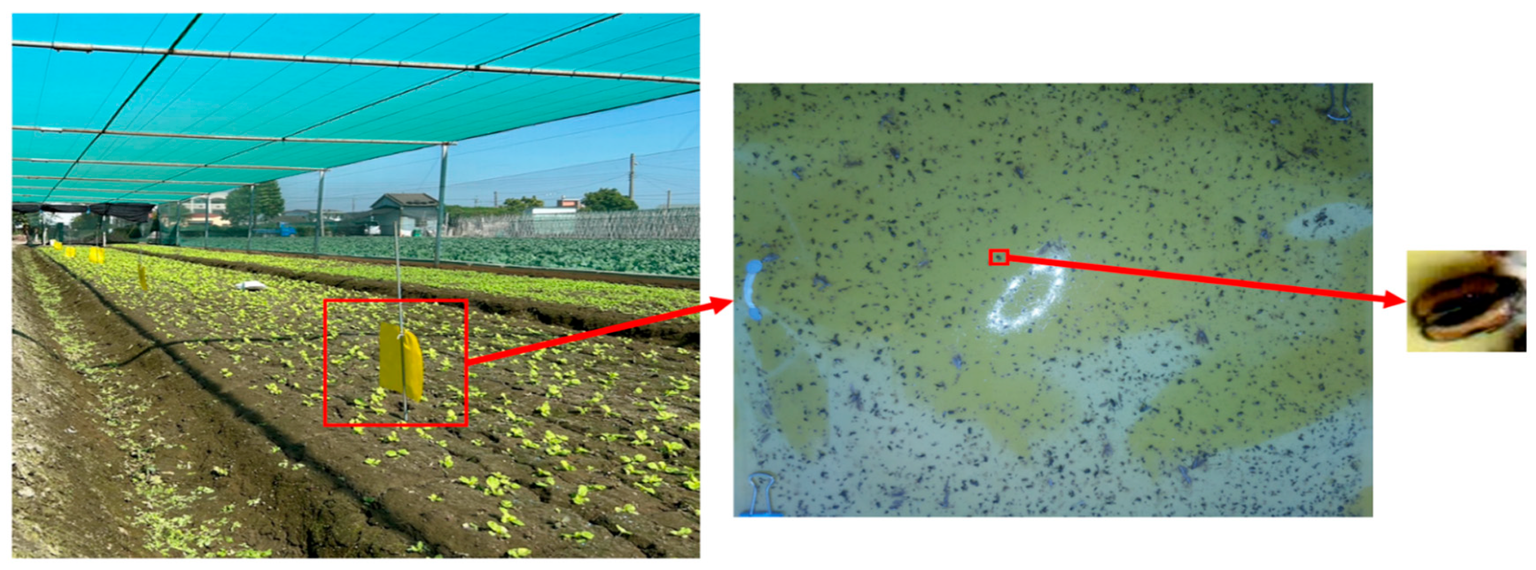 Electronics 14 02927 g004