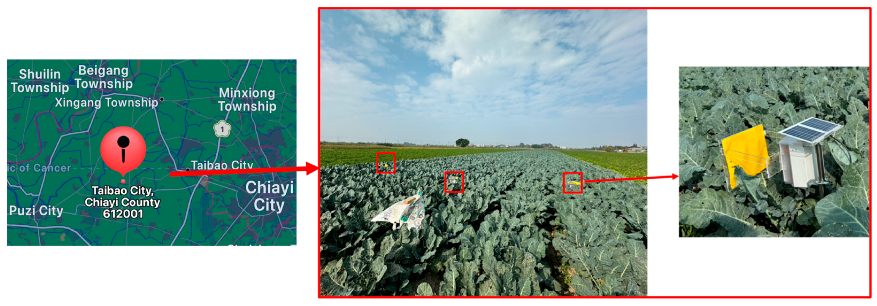 Electronics 14 02927 g012