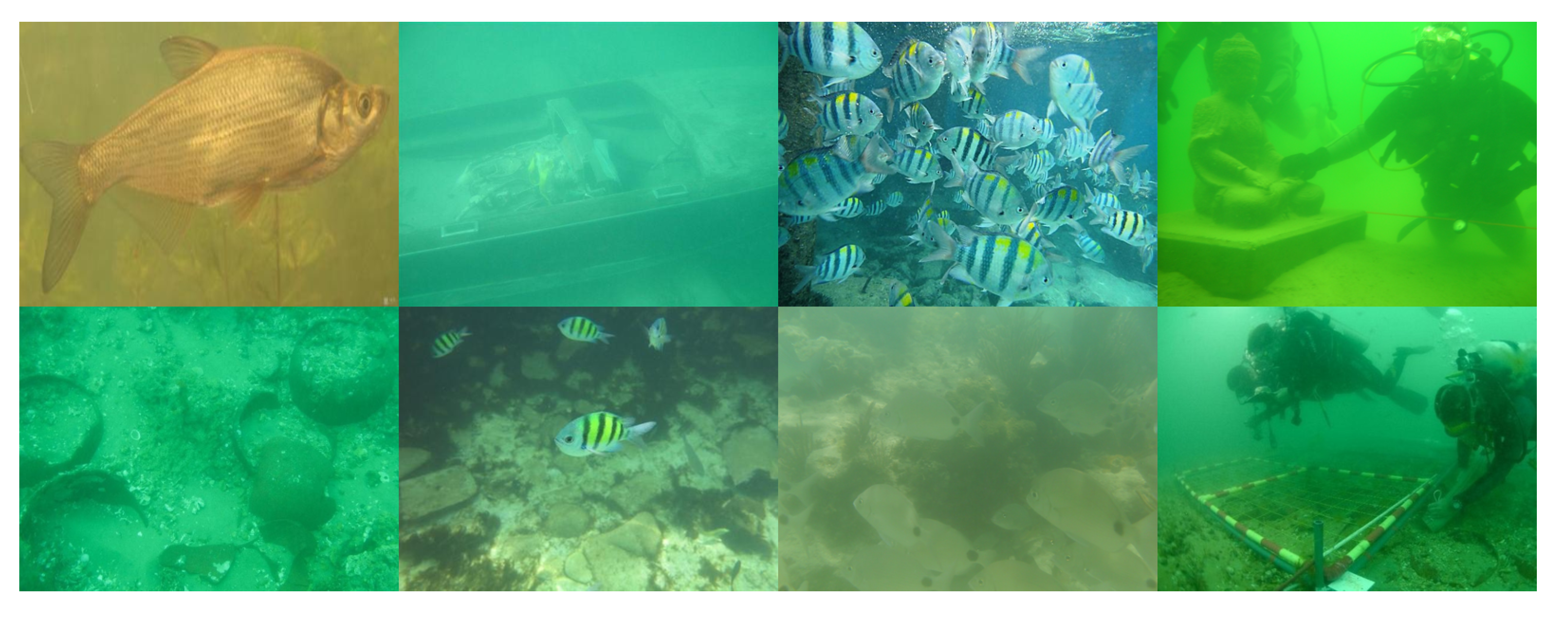 Electronics 14 02954 g003