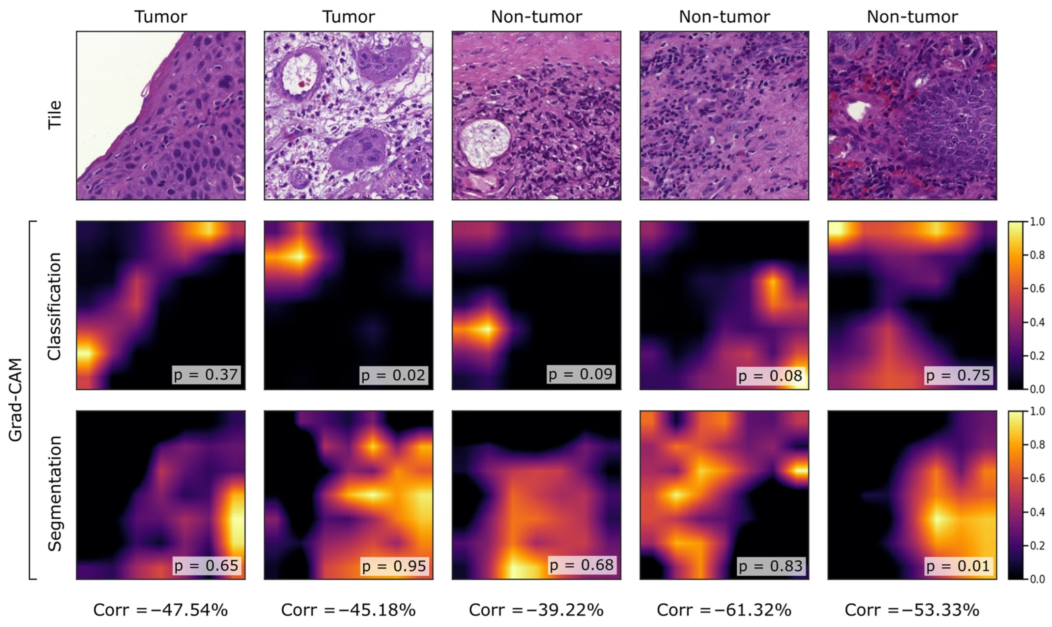Electronics 14 03024 g007
