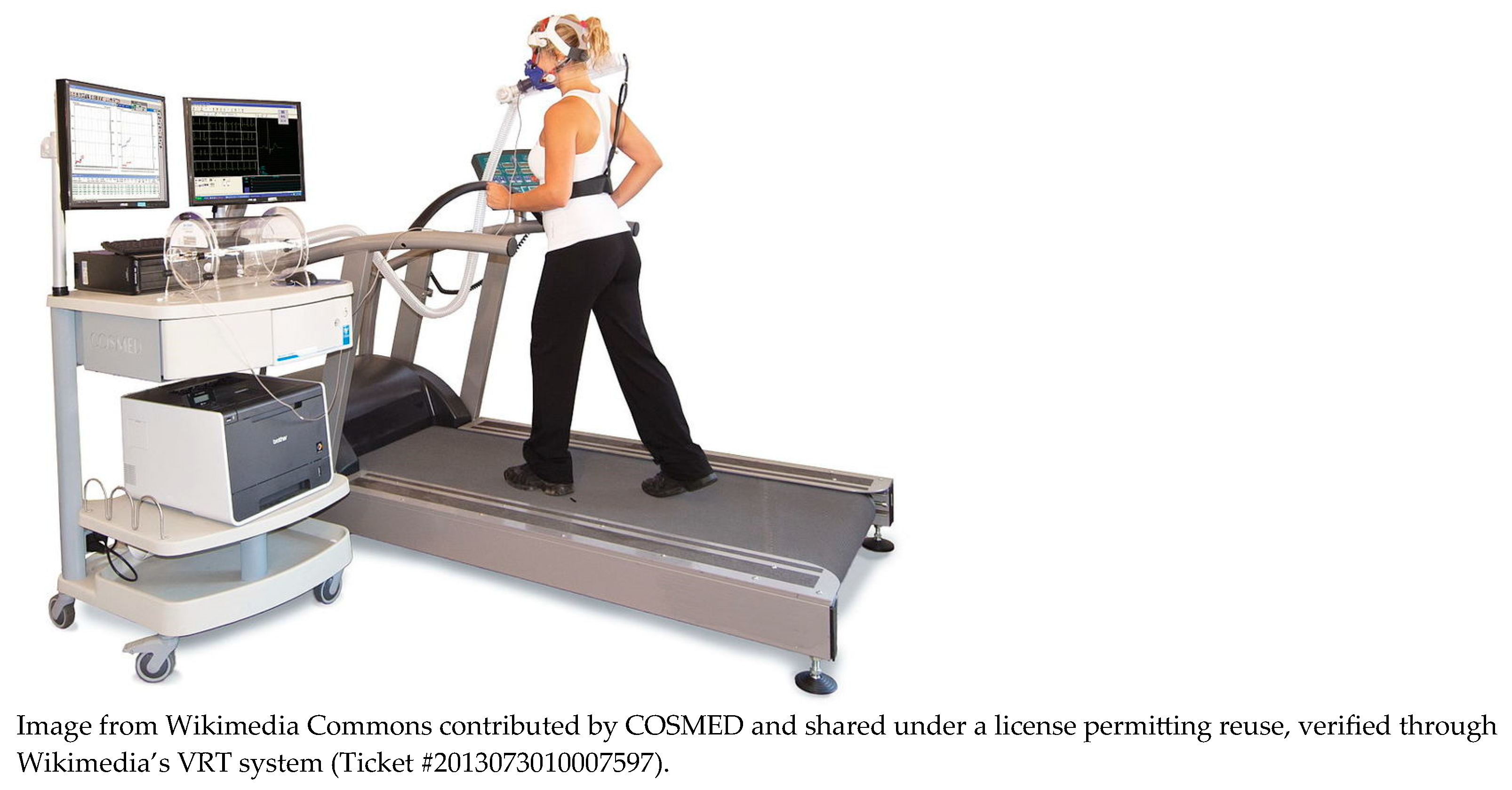 Electronics 14 03081 g001