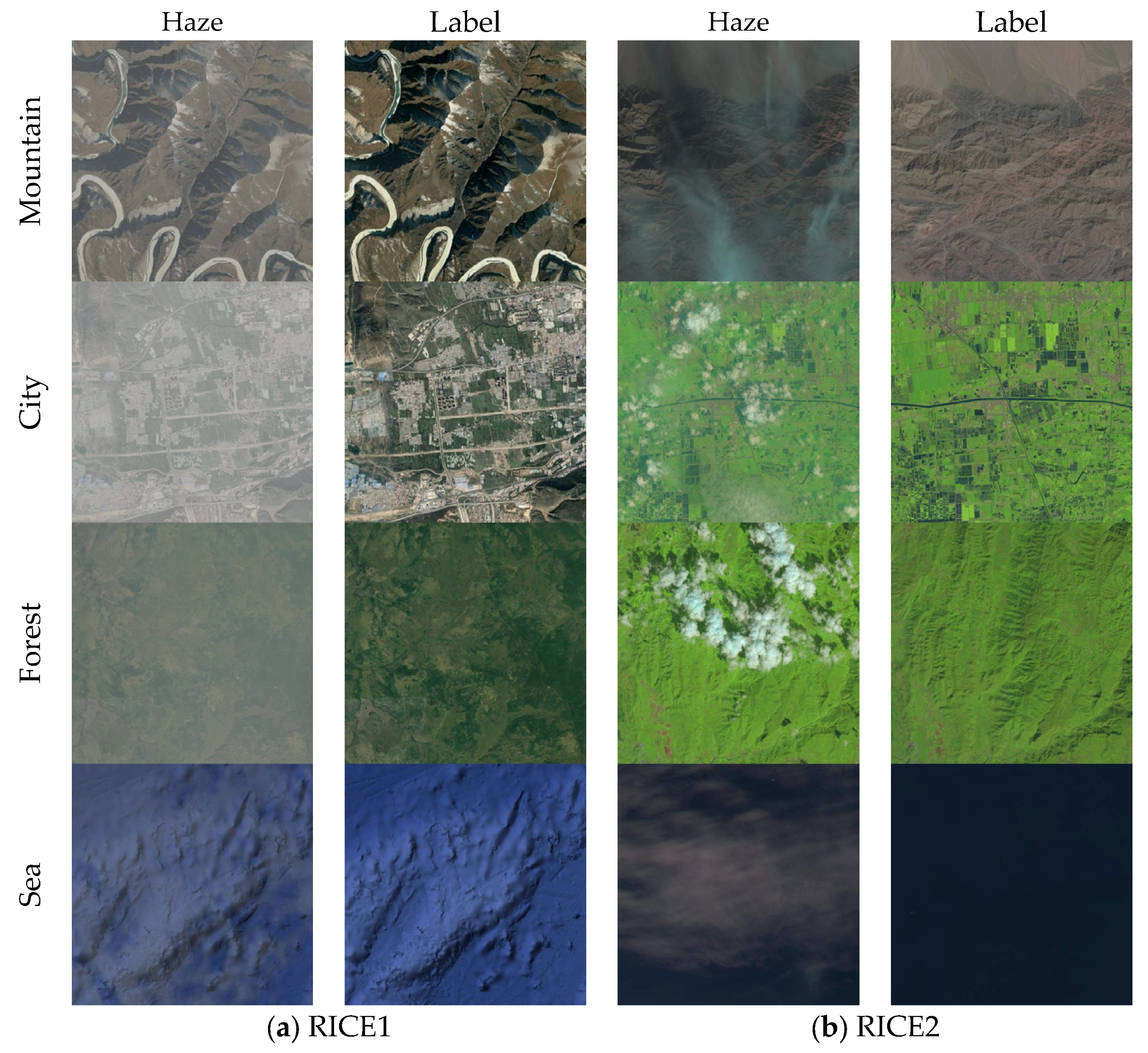 Electronics 14 03099 g004