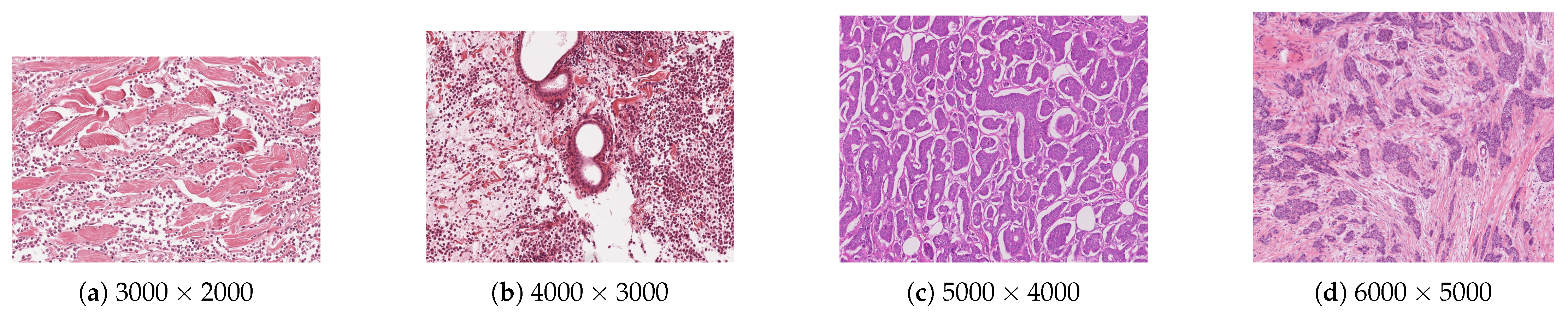 Electronics 14 03148 g007
