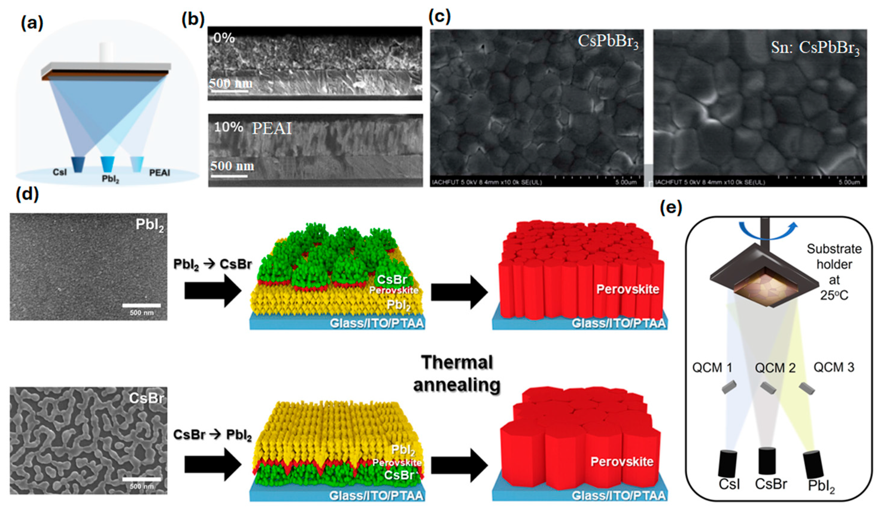 Electronics 14 03171 g001 Electronics 14 03171 g001