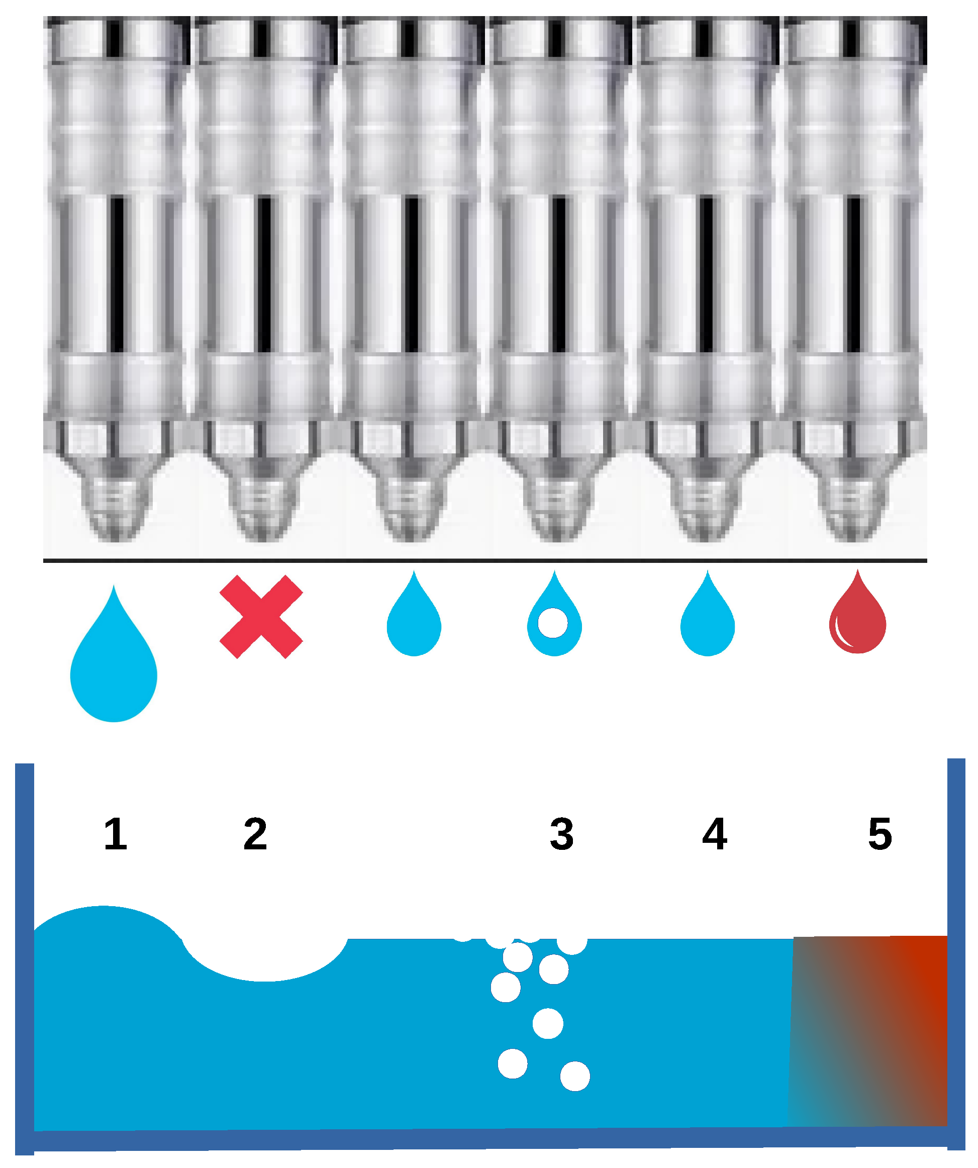 Electronics 14 03204 g001