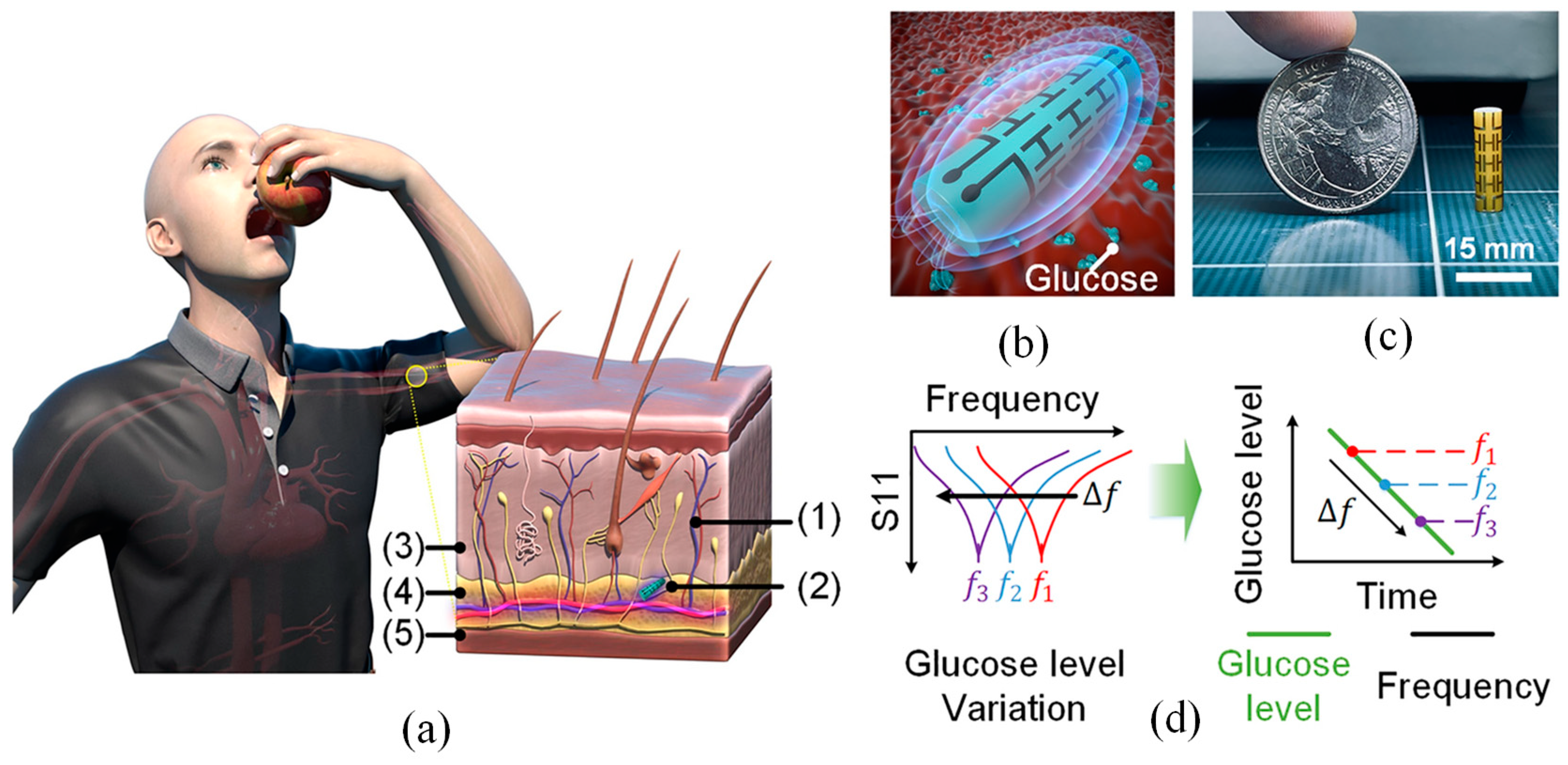 Electronics 14 03224 g007 Electronics 14 03224 g007