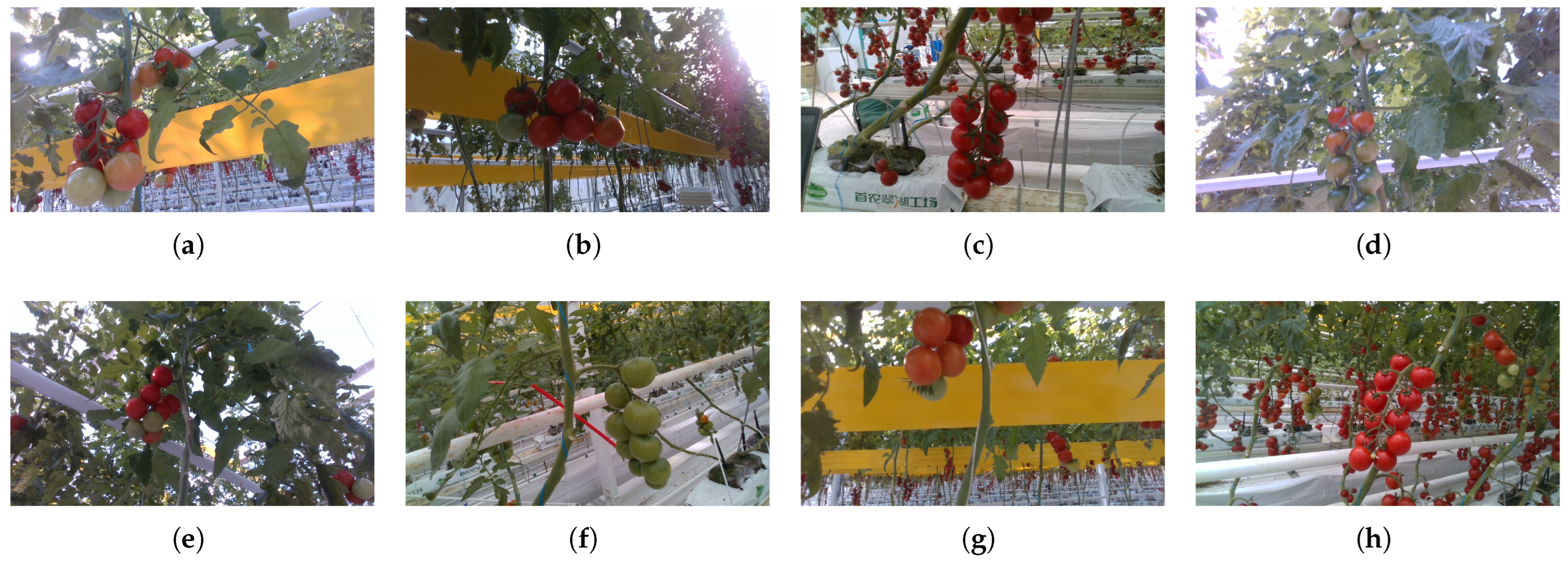 Electronics 14 03243 g004