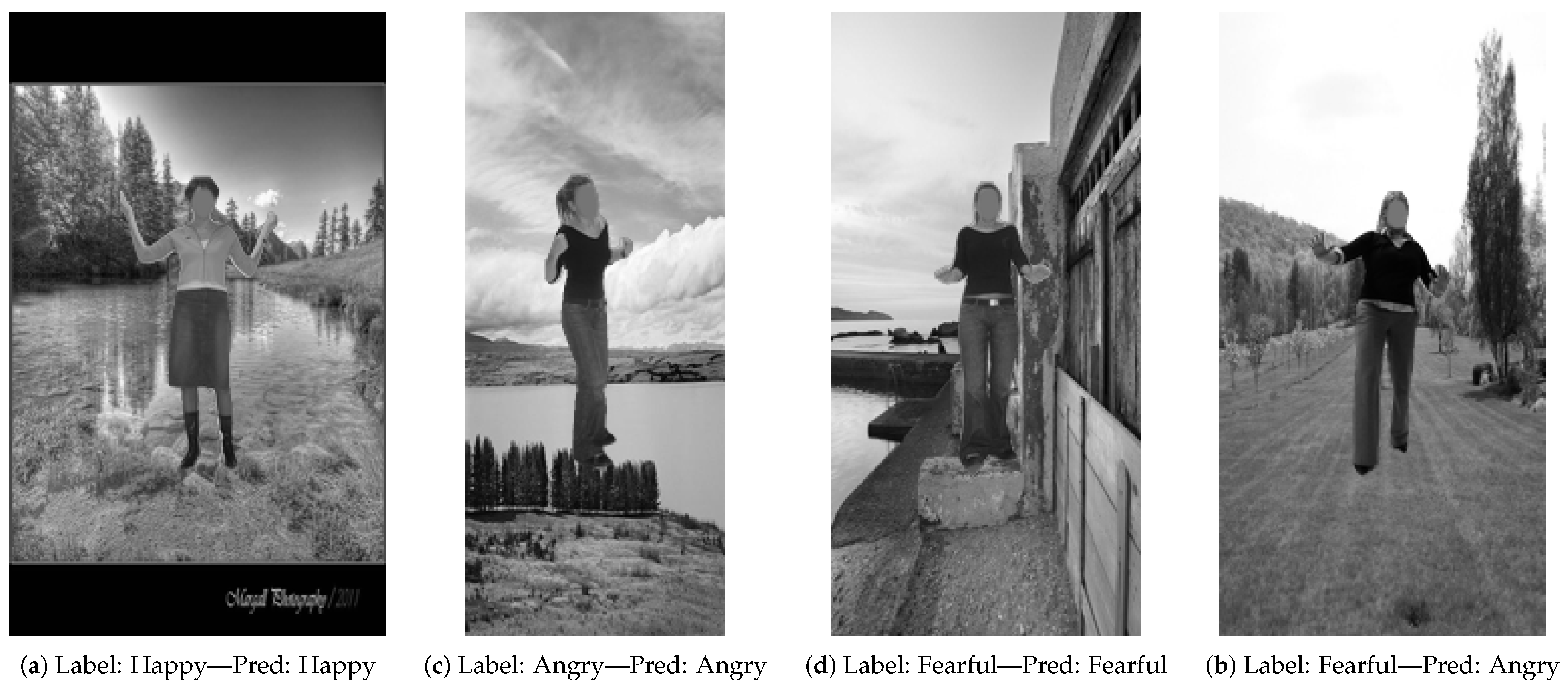 Electronics 14 03311 g013