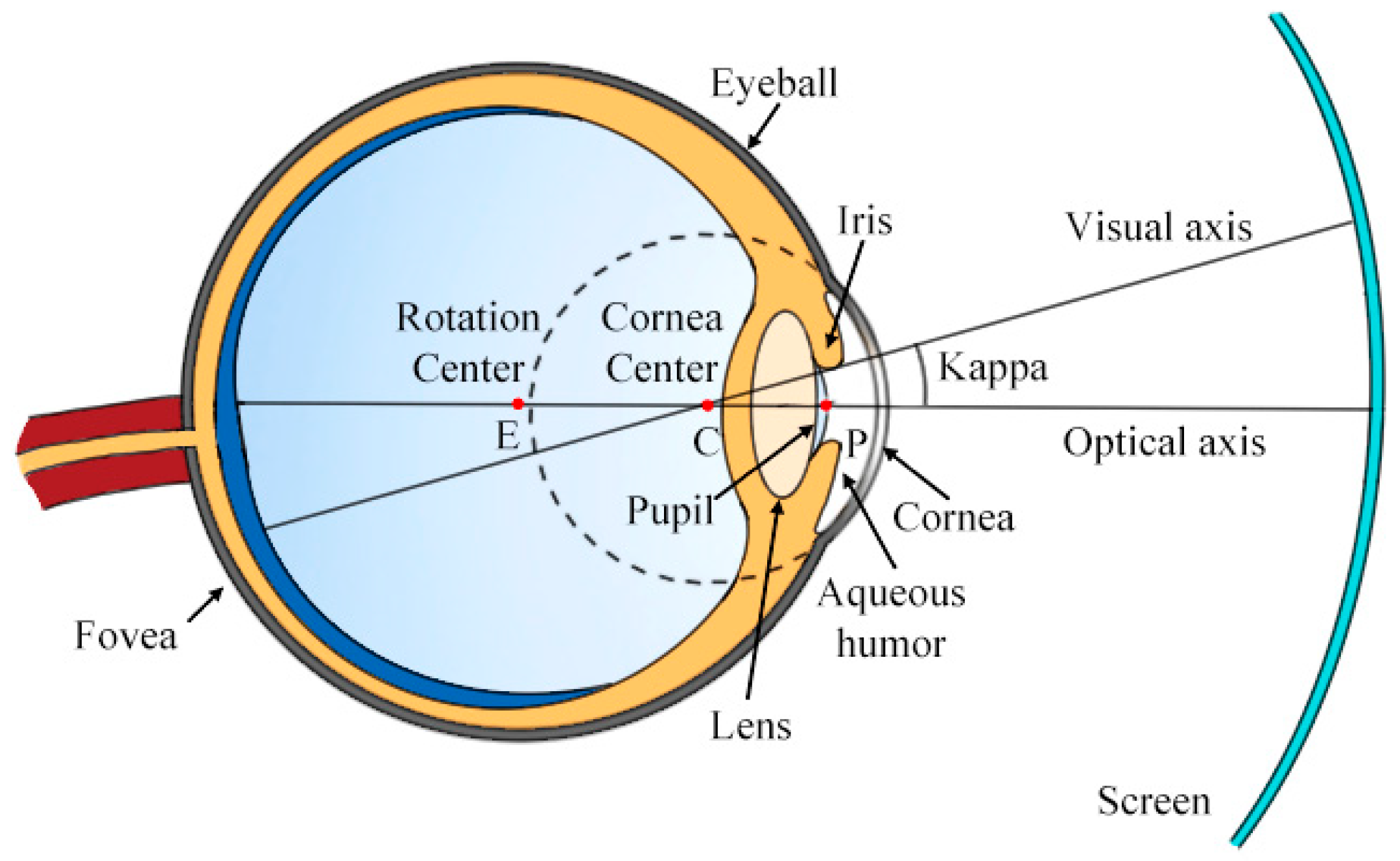 Electronics 14 03352 g002