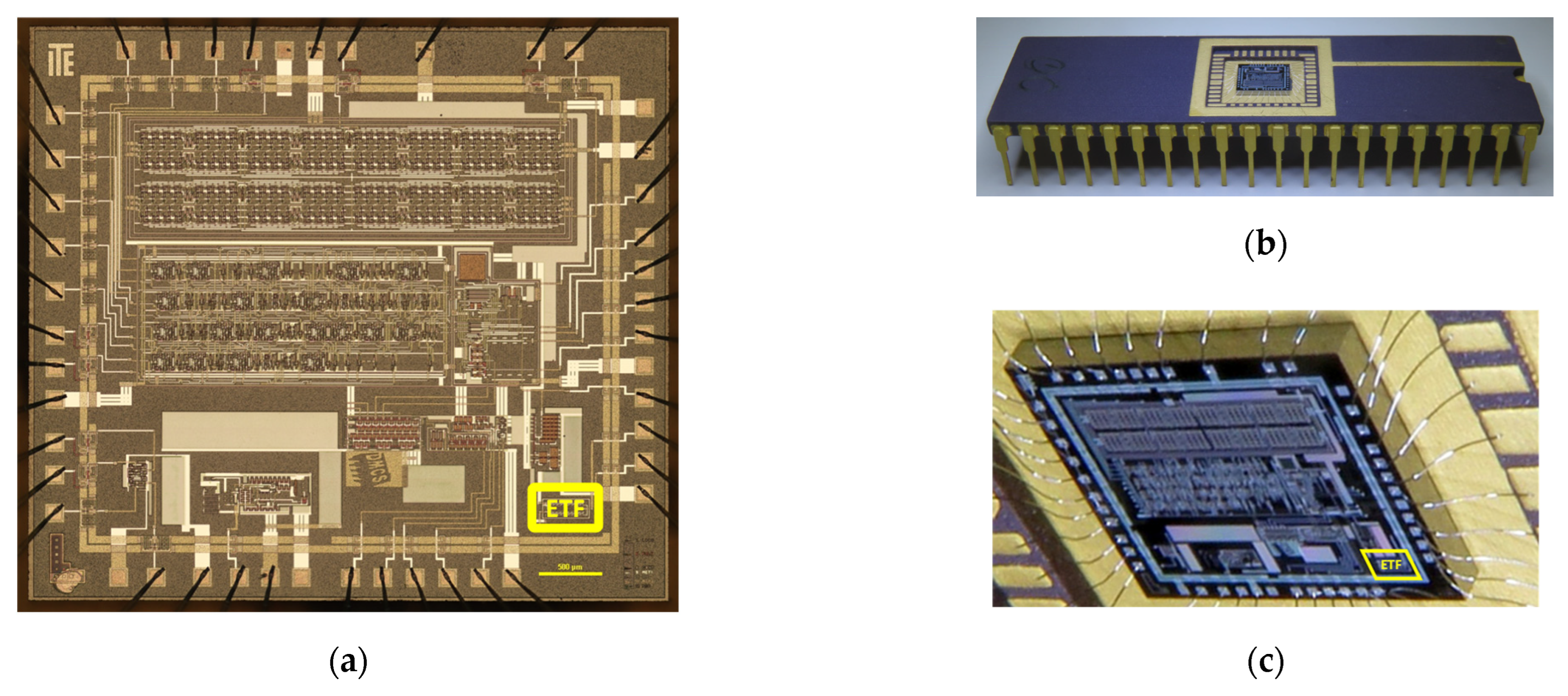 Electronics 14 03355 g001 Electronics 14 03355 g001